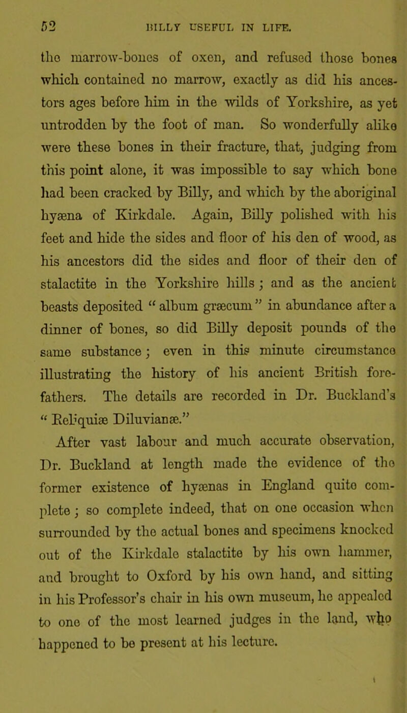 the marrow-bones of oxen, and refused those bones which contained no marrow, exactly as did his ances- tors ages before him in the wilds of Yorkshire, as yet untrodden by the foot of man. So wonderfully alike were these bones in their fracture, that, judging from this point alone, it was impossible to say which bone had been cracked by Billy, and which by the aboriginal hyaena of Kirkdale. Again, Billy polished with his feet and hide the sides and floor of his den of wood, as his ancestors did the sides and floor of their den of stalactite in the Yorkshire hills ; and as the ancient beasts deposited “ album grsecum ” in abundance after a dinner of bones, so did Billy deposit pounds of the same substance; even in this minute circumstance illustrating the history of his ancient British fore- fathers. The details are recorded in Dr. Buckland’s “ Reliquiae Diluvianae.” After vast labour and much accurate observation, Dr. Buckland at length made the evidence of the former existence of hyaenas in England quito com- plete ; so complete indeed, that on one occasion when surrounded by the actual bones and specimens knocked out of the Kirkdale stalactite by his own hammer, and brought to Oxford by his own hand, and sitting in his Professor’s chair in his own museum, he appealed to one of the most learned judges in the land, wtw happened to bo present at his lecture.