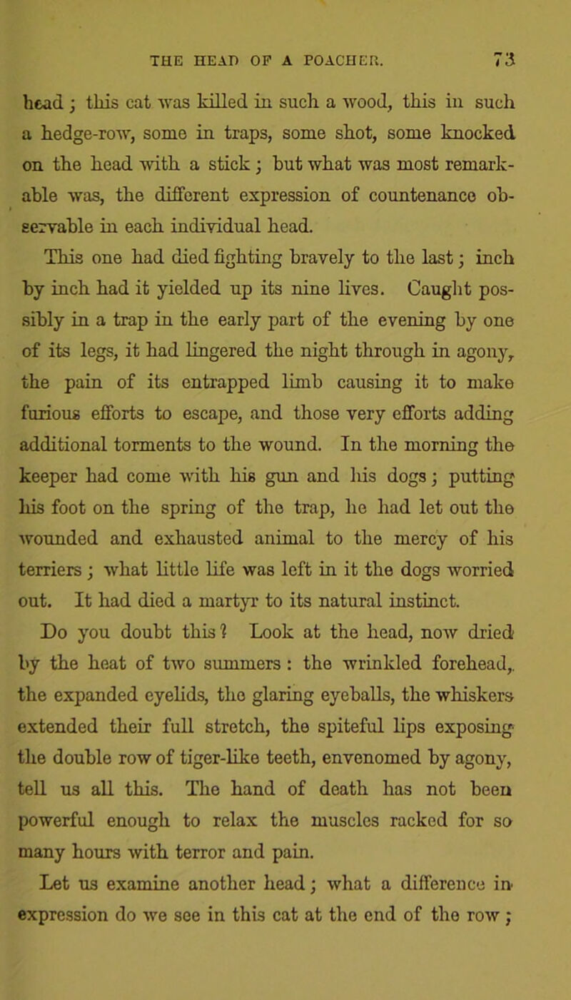 head ; this cat was killed in such a wood, this in such a hedge-row, some in traps, some shot, some knocked on the head with a stick; but what was most remark- able was, the different expression of countenance ob- servable in each individual head. This one had died fighting bravely to the last; inch by inch had it yielded up its nine lives. Caught pos- sibly in a trap in the early part of the evening by one of its legs, it had lingered the night through in agony, the pain of its entrapped limb causing it to make furious efforts to escape, and those very efforts adding additional torments to the wound. In the morning the keeper had come with his gun and his dogs ; putting his foot on the spring of the trap, he had let out the wounded and exhausted animal to the mercy of his terriers ; what little life was left in it the dogs worried out. It had died a martyr to its natural instinct. Do you doubt this? Look at the head, now dried by the heat of two summers : the wrinkled forehead,, the expanded eyelids, the glaring eyeballs, the whiskers extended their full stretch, the spiteful lips exposing the double row of tiger-like teeth, envenomed by agony, tell us all this. The hand of death has not been powerful enough to relax the muscles racked for so many hours with terror and pain. Let us examine another head; what a difference in expression do we see in this cat at the end of the row;