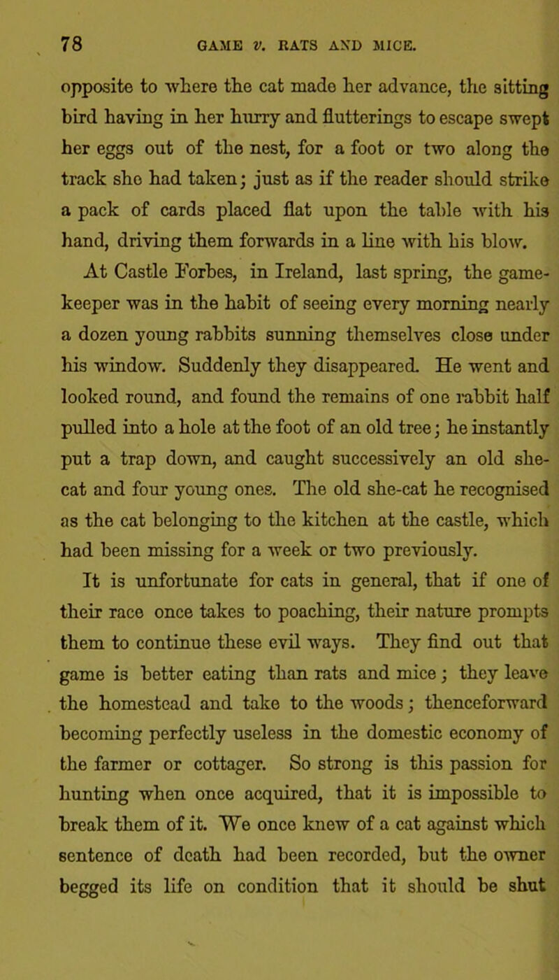 opposite to where the cat made her advance, the sitting bird having in her hnrry and flutterings to escape swept her eggs out of the nest, for a foot or two along the track she had taken; just as if the reader should strike a pack of cards placed flat upon the table with his hand, driving them forwards in a line with his blow. At Castle Forbes, in Ireland, last spring, the game- keeper was in the habit of seeing every morning nearly a dozen young rabbits sunning themselves close under his window. Suddenly they disappeared. He went and looked round, and found the remains of one rabbit half pulled into a hole at the foot of an old tree; he instantly put a trap down, and caught successively an old she- cat and four young ones. The old she-cat he recognised as the cat belonging to the kitchen at the castle, which had been missing for a week or two previously. It is unfortunate for cats in general, that if one of their race once takes to poaching, their nature prompts them to continue these evil ways. They find out that game is better eating than rats and mice; they leave the homestead and take to the woods; thenceforward becoming perfectly useless in the domestic economy of the farmer or cottager. So strong is this passion for hunting when once acquired, that it is impossible to break them of it. We once knew of a cat against which sentence of death had been recorded, but the owner begged its life on condition that it should be shut