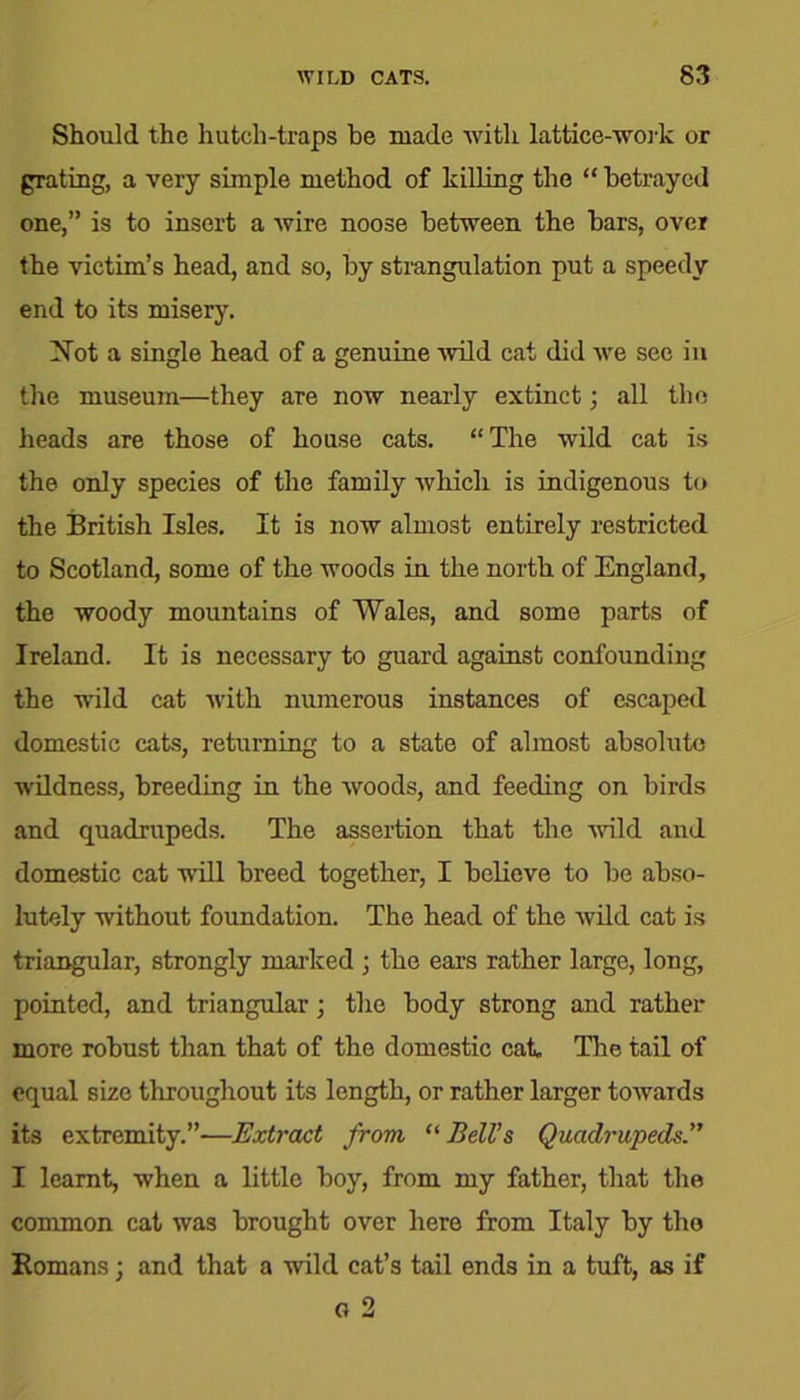 Should the hutcli-traps be made with lattice-work or grating, a very simple method of killing the “ betrayed one,” is to insert a wire noose between the bars, over the victim’s head, and so, by strangulation put a speedy end to its misery. Not a single head of a genuine wild cat did we see in the museum—they are now nearly extinct; all the heads are those of house cats. “The wild cat is the only species of the family which is indigenous to the British Isles. It is now almost entirely restricted to Scotland, some of the woods in the north of England, the woody mountains of Wales, and some parts of Ireland. It is necessary to guard against confounding the wild cat with numerous instances of escaped domestic cats, returning to a state of almost absolute wildness, breeding in the woods, and feeding on birds and quadrupeds. The assertion that the -wild and domestic cat will breed together, I believe to be abso- lutely without foundation. The head of the wild cat is triangular, strongly marked ; the ears rather large, long, pointed, and triangular; the body strong and rather more robust than that of the domestic cat, The tail of equal size throughout its length, or rather larger towards its extremity.”-—Extract from “ Bell’s Quadrupeds I learnt, when a little boy, from my father, that the common cat was brought over here from Italy by the Romans; and that a wild cat’s tail ends in a tuft, as if