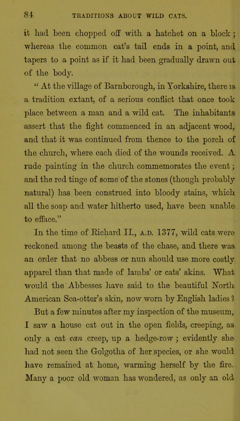 it had been chopped off with a hatchet on a block; whereas the common cat’s tail ends in a point, and tapers to a point as if it had been gradually drawn out of the body. “ At the village of Barnborough, in Yorkshire, there is a tradition extant, of a serious conflict that once took place between a man and a wild cat. The inhabitants assert that the fight commenced in an adjacent wood, and that it was continued from thence to the porch of the church, where each died of the wounds received. A rude painting in the church commemorates the event; and the red tinge of some of the stones (though probably natural) has been construed into bloody stains, which all the soap and water hitherto used, have been unable to efface.” In the time of Bichard II., a.d. 1377, wild cats were reckoned among the beasts of the chase, and there was an order that no abbess or nun should use more costly apparel than that made of lambs’ or cats’ skins. What would the Abbesses have said to the beautiful North American Sea-otter’s skin, now worn by English ladies % But a few minutes after my inspection of the museum, I saw a house cat out in the open fields, creeping, as only a cat can creep, up a hedge-row; evidently she had not seen the Golgotha of her species, or she would have remained at home, warming herself by the fire. Many a poor old woman has wondered, as only an old