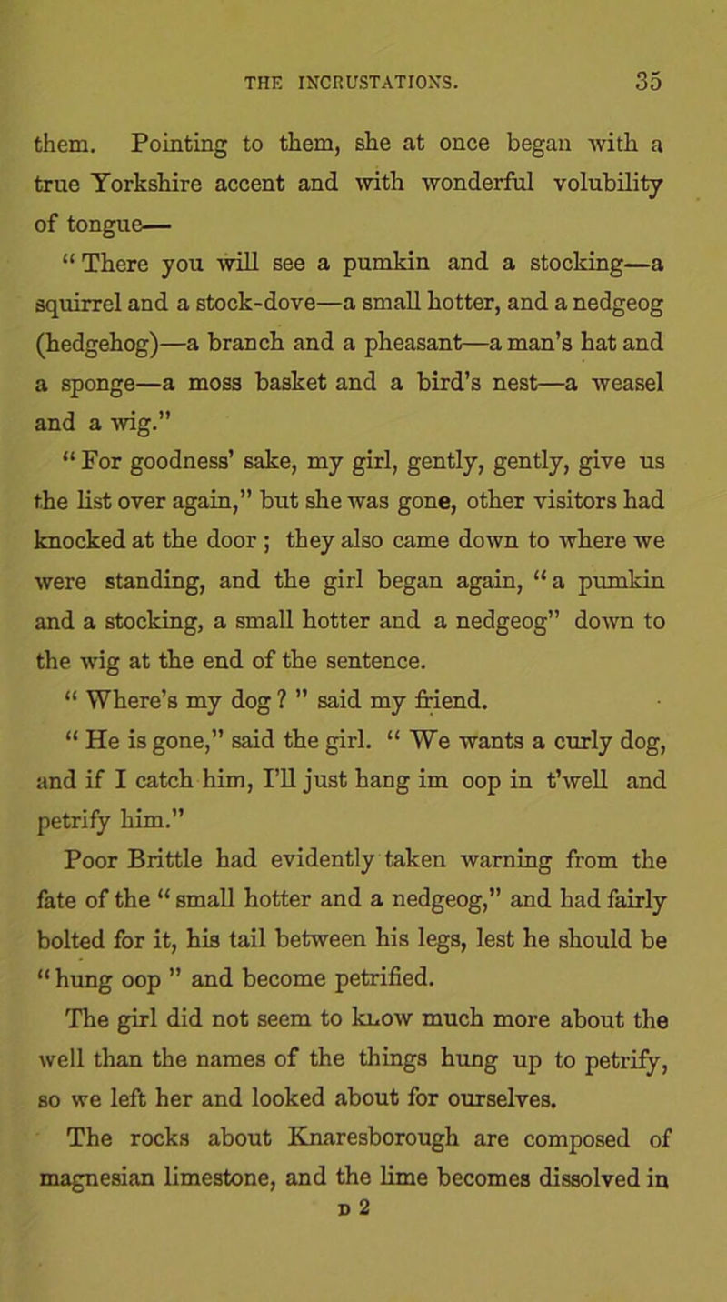 them. Pointing to them, she at once began with a true Yorkshire accent and with wonderful volubility of tongue— “ There you will see a pumkin and a stocking—a squirrel and a stock-dove—a small hotter, and a nedgeog (hedgehog)—a branch and a pheasant—a man’s hat and a sponge—a moss basket and a bird’s nest—a weasel and a wig.” “For goodness’ sake, my girl, gently, gently, give us the list over again,” but she was gone, other visitors had knocked at the door ; they also came down to where we were standing, and the girl began again, “a pumkin and a stocking, a small hotter and a nedgeog” down to the wig at the end of the sentence. “ Where’s my dog ? ” said my friend. “ He is gone,” said the girl. “We wants a curly dog, and if I catch him, I’ll just hang im oop in t’well and petrify him.” Poor Brittle had evidently taken warning from the fate of the “ small hotter and a nedgeog,” and had fairly bolted for it, his tail between his legs, lest he should be “ hung oop ” and become petrified. The girl did not seem to know much more about the well than the names of the things hung up to petrify, so we left her and looked about for ourselves. The rocks about Rnaresborough are composed of magnesian limestone, and the lime becomes dissolved in d 2