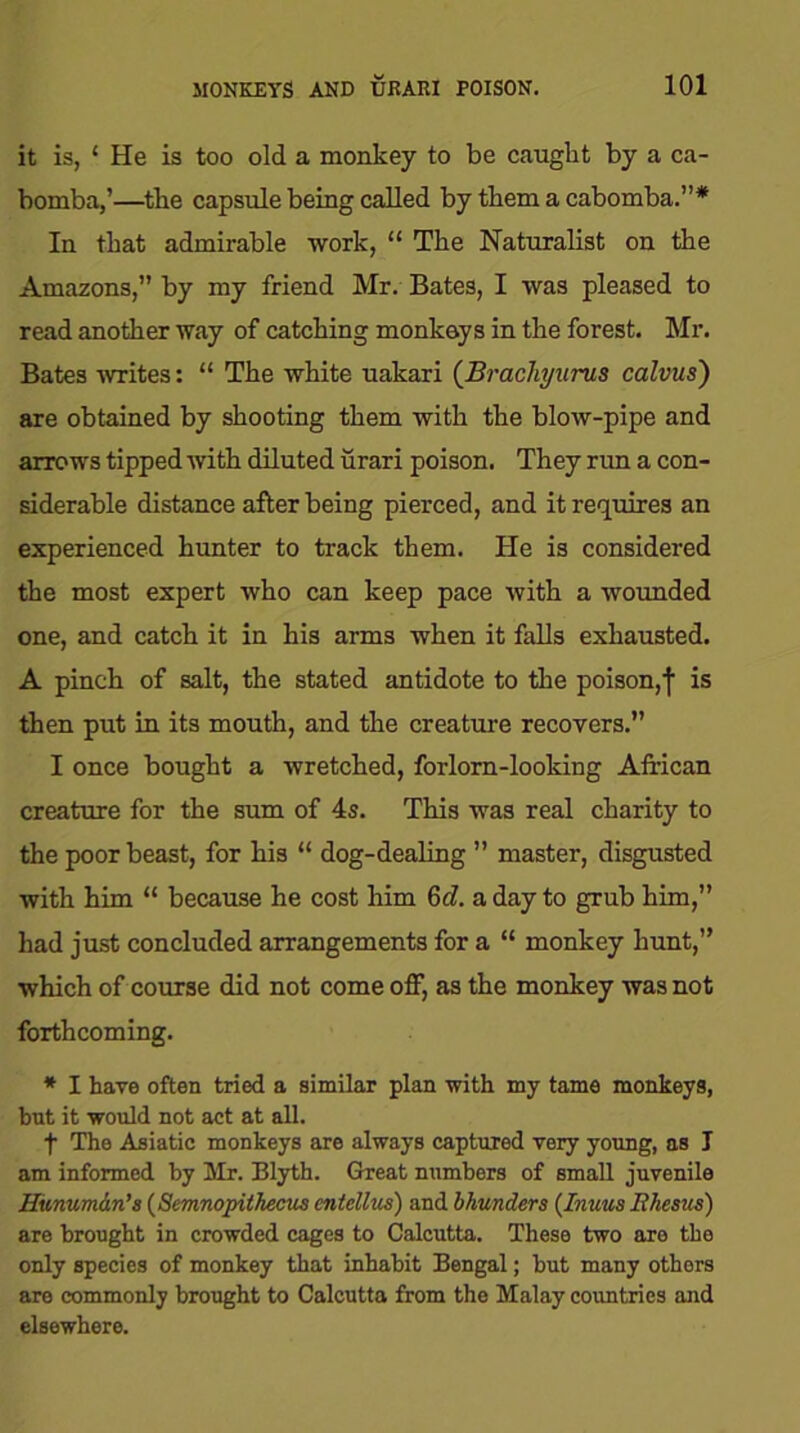 it is, * He is too old a monkey to be cauglit by a ca- bomba,’—tlie capsule being called by them a cabomba.”* In that admirable work, “ The Naturalist on the Amazons,” by my friend Mr. Bates, I was pleased to read another way of catching monkeys in the forest. Mr. Bates writes: “ The white uakari (Brachyurus calvus) are obtained by shooting them with the blow-pipe and arrows tipped with diluted urari poison. They run a con- siderable distance after being pierced, and it requires an experienced hunter to track them. He is considered the most expert who can keep pace with a wounded one, and catch it in his arms when it falls exhausted. A pinch of salt, the stated antidote to the poison, j- is then put in its mouth, and the creature recovers.” I once bought a wretched, forlorn-looking African creature for the sum of 4s. This was real charity to the poor beast, for his “ dog-dealing ” master, disgusted with him 11 because he cost him 6d. a day to grub him,” had just concluded arrangements for a “ monkey hunt,” which of course did not come off, as the monkey was not forthcoming. * I have often tried a similar plan with my tame monkeys, but it would not act at all. f The Asiatic monkeys are always captured very young, as I am informed by Sir. Blyth. Great numbers of small juvenile Hiinumdm’s (Semnopithecus cntcllus) and bhunders (Inuus Rhesus) are brought in crowded cages to Calcutta. These two are the only species of monkey that inhabit Bengal; but many othors are commonly brought to Calcutta from the Malay countries and elsewhere.