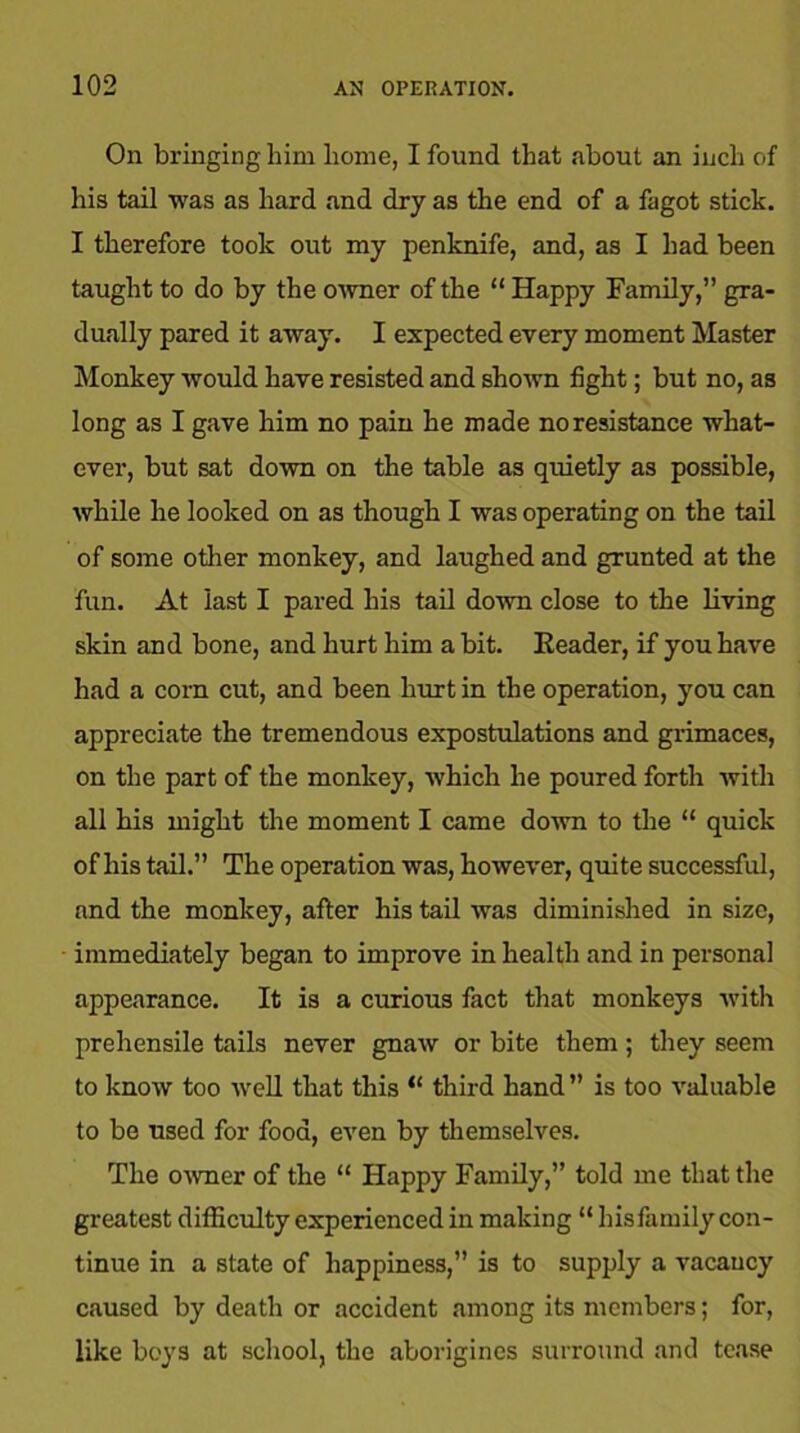 On bringing him home, I found that about an inch of his tail was as hard and dry as the end of a fagot stick. I therefore took out my penknife, and, as I had been taught to do by the owner of the “ Happy Family,” gra- dually pared it away. I expected every moment Master Monkey would have resisted and shown fight; but no, as long as I gave him no pain he made no resistance what- ever, but sat down on the table as quietly as possible, while he looked on as though I was operating on the tail of some other monkey, and laughed and grunted at the fun. At last I pared his tail down close to the living skin and bone, and hurt him a bit. Reader, if you have had a corn cut, and been hurt in the operation, you can appreciate the tremendous expostulations and grimaces, on the part of the monkey, which he poured forth with all his might the moment I came down to the “ quick of his tail.” The operation was, however, quite successful, and the monkey, after his tail was diminished in size, immediately began to improve in health and in personal appearance. It is a curious fact that monkeys with prehensile tails never gnaw or bite them ; they seem to know too well that this “ third hand ” is too valuable to be used for food, even by themselves. The owner of the “ Happy Family,” told me that the greatest difficulty experienced in making “ his family con- tinue in a state of happiness,” is to supply a vacancy caused by death or accident among its members; for, like boys at school, the aborigines surround and tease