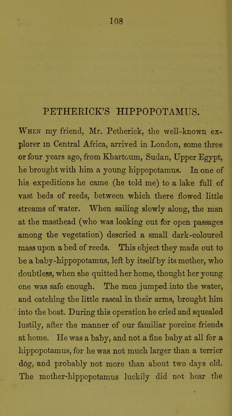 PETHERICK’S HIPPOPOTAMUS. When my friend, Mr. Petherick, the well-known ex- plorer m Central Africa, arrived in London, some three or four years ago, from Khartoum, Sudan, Upper Egypt, he brought with him a young hippopotamus. In one of his expeditions he came (he told me) to a lake full of vast beds of reeds, between which there flowed little streams of water. When sailing slowly along, the man at the masthead (who was looking out for open passages among the vegetation) descried a small dark-coloured mass upon a bed of reeds. This object they made out to be a baby-hippopotamus, left by itself by its mother, who doubtless, when she quitted her home, thought her young one was safe enough. The men jumped into the water, and catching the little rascal in their arms, brought him into the boat. During this operation he cried and squealed lustily, after the manner of our familiar porcine friends at home. He was a baby, and not a fine baby at all for a hippopotamus, for he was not much larger than a terrier dog, and probably not more than about two days old. The mother-hippopotamus luckily did not hear the