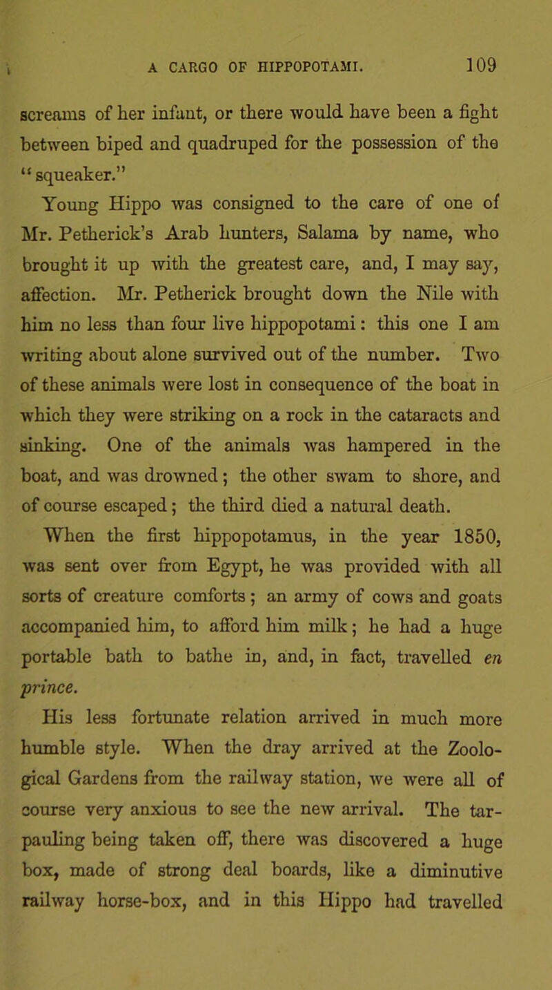screams of her infant, or there would have been a fight between biped and quadruped for the possession of the “ squeaker.” Young Hippo was consigned to the care of one of Mr. Petherick’s Arab hunters, Salama by name, who brought it up with the greatest care, and, I may say, affection. Mr. Petherick brought down the Nile with him no less than four live hippopotami: this one I am writing about alone survived out of the number. Two of these animals were lost in consequence of the boat in which they were striking on a rock in the cataracts and sinking. One of the animals was hampered in the boat, and was drowned; the other swam to shore, and of course escaped; the third died a natural death. When the first hippopotamus, in the year 1850, was sent over from Egypt, he was provided with all sorts of creature comforts ; an army of cows and goats accompanied him, to afford him milk; he had a huge portable bath to bathe in, and, in fact, travelled era prince. His les3 fortunate relation arrived in much more humble style. When the dray arrived at the Zoolo- gical Gardens from the railway station, we were all of course very anxious to see the new arrival. The tar- pauling being taken off, there was discovered a huge box, made of strong deal boards, like a diminutive railway horse-box, and in this Hippo had travelled
