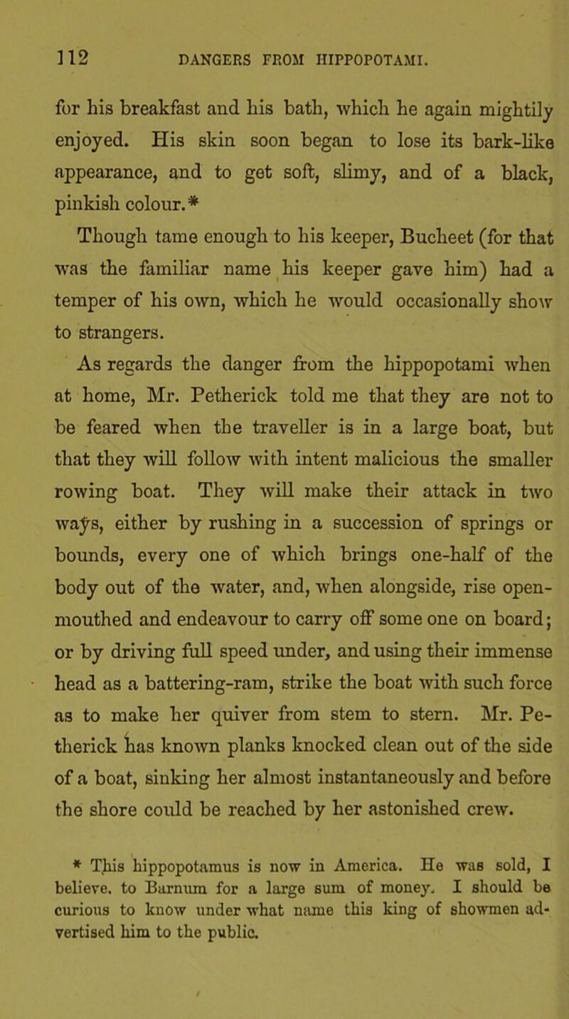 for his breakfast and his bath, which he again mightily enjoyed. His skin soon began to lose its bark-like appearance, and to get soft, slimy, and of a black, pinkish colour.* Though tame enough to his keeper, Bucheet (for that was the familiar name his keeper gave him) had a temper of his own, which he would occasionally show to strangers. As regards the danger from the hippopotami when at home, Mr. Petherick told me that they are not to be feared when the traveller is in a large boat, but that they will follow with intent malicious the smaller rowing boat. They will make their attack in two wa^s, either by rushing in a succession of springs or bounds, every one of which brings one-half of the body out of the water, and, when alongside, rise open- mouthed and endeavour to carry off some one on board; or by driving full speed under, and using their immense head as a battering-ram, strike the boat with such force as to make her quiver from stem to stern. Mr. Pe- therick kas known planks knocked clean out of the side of a boat, sinking her almost instantaneously and before the shore could be reached by her astonished crew. * This hippopotamus is now in America. He was sold, I believe, to Barnum for a large sum of money. I should be curious to know under what name this king of showmen ad- vertised him to the public.