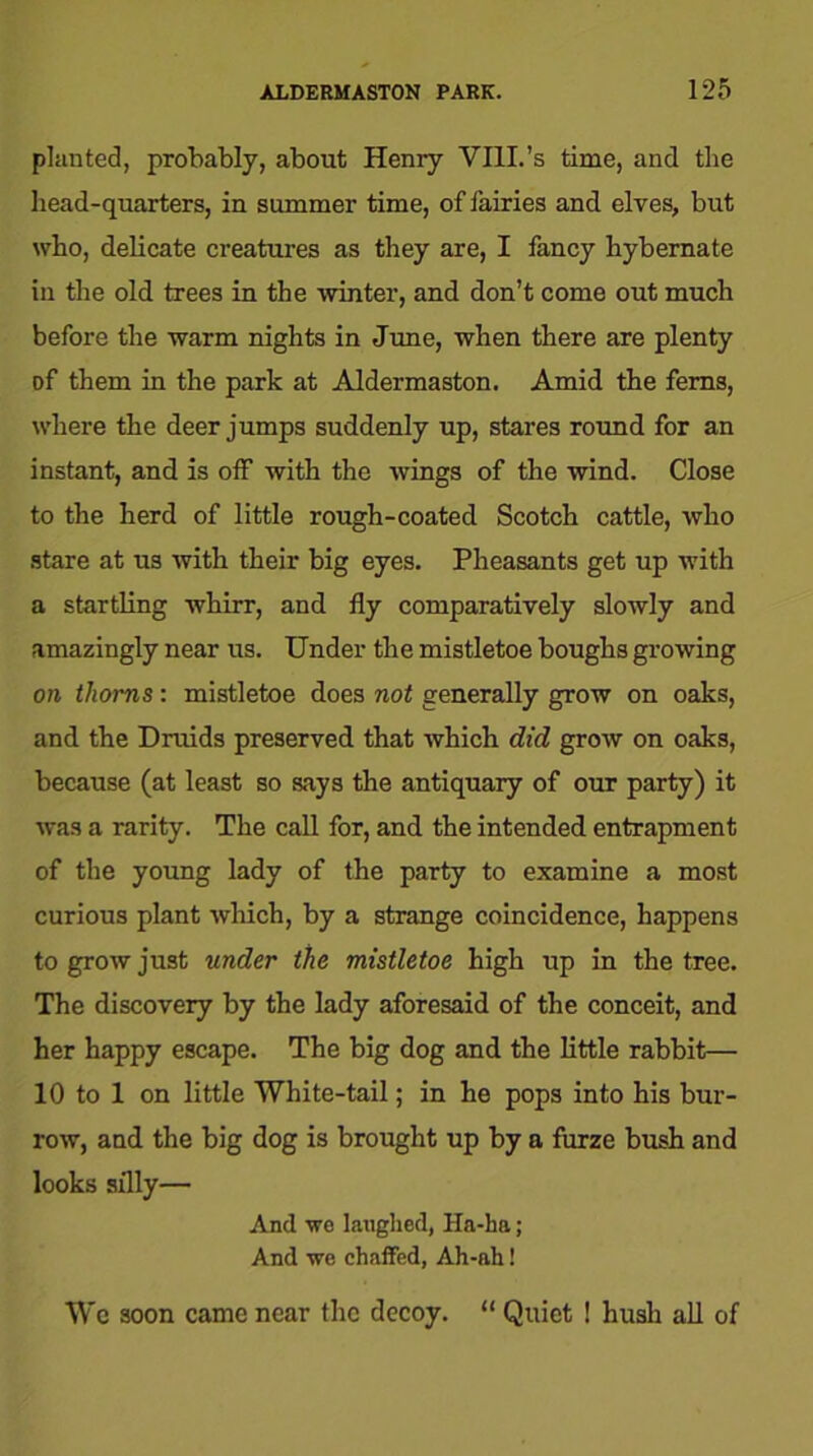 planted, probably, about Henry VIlI.’s time, and the head-quarters, in summer time, of fairies and elves, but who, delicate creatures as they are, I fancy hybernate ill the old trees in the winter, and don’t come out much before the warm nights in June, when there are plenty of them in the park at Aldermaston. Amid the ferns, where the deer jumps suddenly up, stares round for an instant, and is off with the wings of the wind. Close to the herd of little rough-coated Scotch cattle, who stare at us with their big eyes. Pheasants get up with a startling whirr, and fly comparatively slowly and amazingly near us. Under the mistletoe boughs growing on thorns: mistletoe does not generally grow on oaks, and the Druids preserved that which did grow on oaks, because (at least so says the antiquary of our party) it was a rarity. The call for, and the intended entrapment of the young lady of the party to examine a most curious plant which, by a strange coincidence, happens to grow just under the mistletoe high up in the tree. The discovery by the lady aforesaid of the conceit, and her happy escape. The big dog and the little rabbit— 10 to 1 on little White-tail; in he pops into his bur- row, and the big dog is brought up by a furze bush and looks silly— And we laughed, Ha-ha; And we chaffed, Ah-ah! Wc soon came near the decoy. “ Quiet ! hush all of