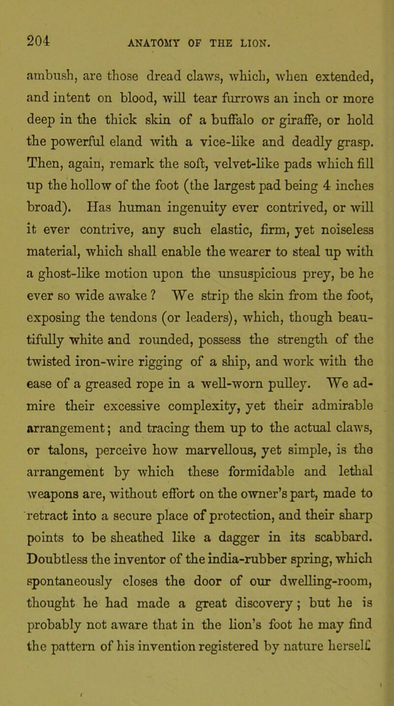 ambush, are those dread claws, which, when extended, and intent on blood, will tear furrows an inch or more deep in the thick skin of a buffalo or giraffe, or hold the powerful eland with a vice-like and deadly grasp. Then, again, remark the soft, velvet-like pads which fill up the hollow of the foot (the largest pad being 4 inches broad). Has human ingenuity ever contrived, or will it ever contrive, any such elastic, firm, yet noiseless material, which shall enable the wearer to steal up with a ghost-like motion upon the unsuspicious prey, be he ever so wide awake ? We strip the skin from the foot, exposing the tendons (or leaders), which, though beau- tifully white and rounded, possess the strength of the twisted iron-wire rigging of a ship, and work with the ease of a greased rope in a well-worn pulley. We ad- mire their excessive complexity, yet their admirable arrangement; and tracing them up to the actual claws, or talons, perceive how marvellous, yet simple, is the arrangement by which these formidable and lethal weapons are, without effort on the owner’s part, made to retract into a secure place of protection, and their sharp points to be sheathed like a dagger in its scabbard. Doubtless the inventor of the india-rubber spring, which spontaneously closes the door of our dwelling-room, thought he had made a great discovery; but he is probably not aware that in the lion’s foot he may find the pattern of his invention registered by nature herself