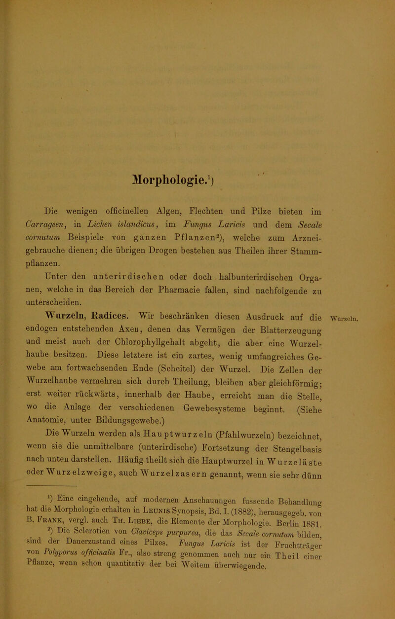 Morphologie.1) Die wenigen officinellen Algen, Flechten und Pilze bieten im Carrageen, in Lichen islandicus, im Fungus Lands und dem Secale cornutum Beispiele von ganzen Pflanzen2), -welche zum Arznei- gebrauche dienen; die übrigen Drogen bestehen aus Theilen ihrer Stamm- pflanzen. Unter den unterirdischen oder doch halbunterirdischen Orga- nen, welche in das Bereich der Pharmacie fallen, sind nachfolgende zu unterscheiden. Wurzeln, Radices. Wir beschränken diesen Ausdruck auf die endogen entstehenden Axeu, denen das Vermögen der Blatterzeugung und meist auch der Chlorophyllgehalt abgeht, die aber eine Wurzel- haube besitzen. Diese letztere ist ein zartes, wenig umfangreiches Ge- webe am fortwachsenden Ende (Scheitel) der Wurzel. Die Zellen der Wurzelhaube vermehren sich durch Theilung, bleiben aber gleichförmig; erst weiter rückwärts, innerhalb der Haube, erreicht man die Stelle, wo die Anlage der verschiedenen Gewebesysteme beginnt. (Siehe Anatomie, unter Bildungsgewebe.) Die Wurzeln werden als Hauptwurzeln (Pfahlwurzeln) bezeichnet, wenn sie die unmittelbare (unterirdische) Fortsetzung der Stengelbasis nach unten darstellen. Häufig theilt sich die Hauptwurzel in Wurzel äste oder Wurz eizweige, auch Wurzel zas er n genannt, wenn sie sehr dünn ') Eine eingehende, auf modernen Anschauungen fassende Behandlung hat die Morphologie erhalten in Leunis Synopsis, Bd. I. (1882), herausgegeb. von L. 1 rank, vergl. auch Th. Liebe, die Elemente der Morphologie. Berlin 18S1 Dlc Sclerotien von Claviceps purpurea, die das Secale cornutum bilden sind der Dauerzustand eines Pilzes. Fungus Lands ist der Fruchtträger von lolyporus officinalis Fr., also streng genommen auch nur ein Th eil einer Pflanze, wenn schon quantitativ der bei Weitem überwiegende. Wurzeln.