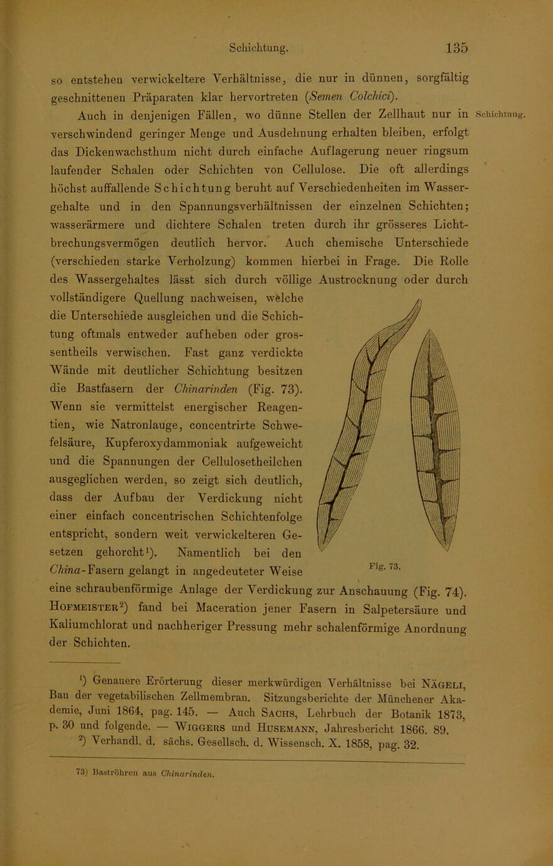 so entstehen verwickeltere Verhältnisse, die nur in diinuen, sorgfältig geschnittenen Präparaten klar hervortreten (Seinen Colchici). Auch in denjenigen Fällen, wo dünne Stellen der Zellhaut nur in Schichtung, verschwindend geringer Menge und Ausdehnung erhalten bleiben, erfolgt das Dickenw’achsthum nicht durch einfache Auflagerung neuer ringsum laufender Schalen oder Schichten von Cellulose. Die oft allerdings höchst auffallende Schichtung beruht auf Verschiedenheiten im Wasser- gehalte und in den Spannungsverhältnissen der einzelnen Schichten; wasserärmere und dichtere Schalen treten durch ihr grösseres Licht- brechungsvermögen deutlich hervor. Auch chemische Unterschiede (verschieden starke Verholzung) kommen hierbei in Frage. Die Rolle des Wassergehaltes lässt sich durch völlige Austrocknung oder durch vollständigere Quellung nachweisen, wfelche die Unterschiede ausgleichen und die Schich- tung oftmals entweder aufheben oder gros- sentheils verwischen. Fast ganz verdickte Wände mit deutlicher Schichtung besitzen die Bastfasern der Chinarinden (Fig. 73). Wenn sie vermittelst energischer Reagen- tien, wie Natronlauge, concentrirte Schwe- felsäure, Kupferoxydammoniak aufgeweicht und die Spannungen der Cellulosetheilchen ausgeglichen werden, so zeigt sich deutlich, dass der Aufbau der Verdickung nicht einer einfach concentrischen Schichtenfolge entspricht, sondern weit verwickelteren Ge- setzen gehorcht1). Namentlich bei den China-Fasern gelangt in angedeuteter Weise eine schraubenförmige Anlage der Verdickung zur Anschauung (Fig. 74). Hofmeister2) fand bei Maceration jener Fasern in Salpetersäure und Kaliumchlorat und nachheriger Pressung mehr schalenförmige Anordnung der Schichten. ') Genauere Erörterung dieser merkwürdigen Verhältnisse bei Nägeli, Bau der vegetabilischen Zellmembran. Sitzungsberichte der Münchener Aka- demie, Juni 1864, pag. 145. — Auch Sachs, Lehrbuch der Botanik 1873, p. 30 und folgende. — Wiggers und Husemann, Jahresbericht 1866. 89. -) V erhandl. d. sächs. Gesellsch. d. Wissensch. X. 1858, pag. 32. 73) BastrÖhren aus Chinarinden.