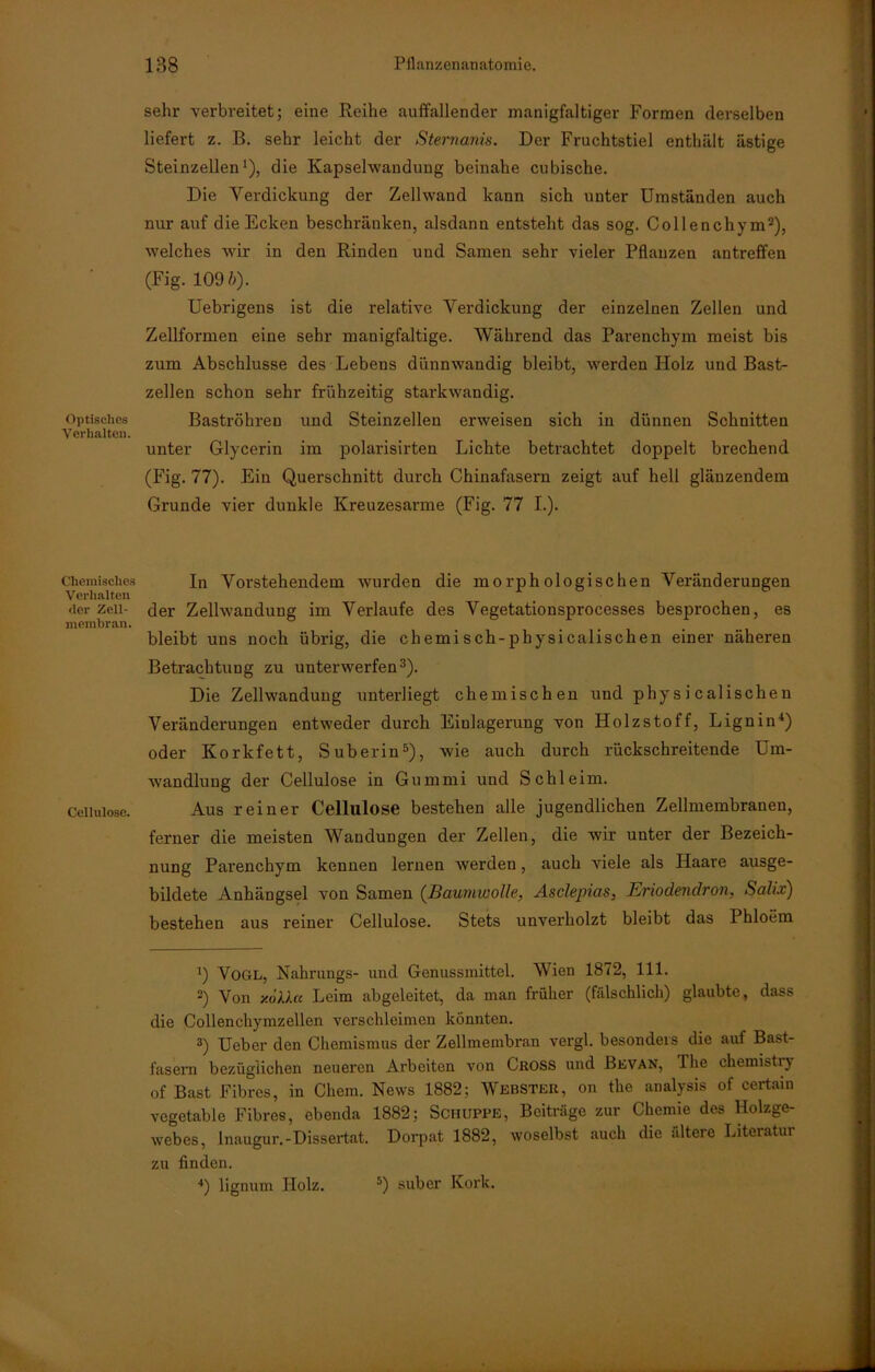 Optisches Verhalten. Chemisches Verhalten der Zell- membran. Cellulose. sehr verbreitet; eine Reihe auffallender manigfaltiger Formen derselben liefert z. B. sehr leicht der Sternanis. Der Fruchtstiel enthält ästige Steinzellen1), die Kapselwandung beinahe cubische. Die Verdickung der Zellwand kann sich unter Umständen auch nur auf die Ecken beschränken, alsdann entsteht das sog. Collenchym2), welches wir in den Rinden und Samen sehr vieler Pflanzen antreffen (Fig. 109 ft). Uebrigens ist die relative Verdickung der einzelnen Zellen und Zellformen eine sehr manigfaltige. Während das Parenchym meist bis zum Abschlüsse des Lebens dünnwandig bleibt, werden Holz und Bast- zellen schon sehr frühzeitig starkwandig. Baströhren und Steinzellen erweisen sich in dünnen Schnitten unter Glycerin im polarisirten Lichte betrachtet doppelt brechend (Fig. 77). Ein Querschnitt durch Chinafasern zeigt auf hell gläuzendem Grunde vier dunkle Kreuzesarme (Fig. 77 I.). In Vorstehendem wurden die morphologischen Veränderungen der Zellwandung im Verlaufe des Vegetationsprocesses besprochen, es bleibt uns noch übrig, die chemisch-pbysicalischen einer näheren Betrachtung zu unterwerfen3). Die Zellwandung unterliegt chemischen und physicalischen Veränderungen entweder durch Einlagerung von Holzstoff, Lignin4) oder Korkfett, Suberin5), wie auch durch rückschreitende Um- wandlung der Cellulose in Gummi und Schleim. Aus reiner Cellulose bestehen alle jugendlichen Zellmembranen, ferner die meisten Wandungen der Zellen, die wir unter der Bezeich- nung Pai'enchym kennen lernen werden, auch viele als Haare ausge- bildete Anhängsel von Samen (Baumwolle, Asclepias, Eriodendron, Salix) bestehen aus reiner Cellulose. Stets unverholzt bleibt das Phloem i) Vogl, Nahrungs- und Genussmittel. Wien 1872, 111. -) Von x6D.cc Leim abgeleitet, da man früher (fälschlich) glaubte, dass die Collenchymzellen verschleimen könnten. 3) Ueber den Chemismus der Zellmembran vergl. besonders die auf Bast- fasern bezüglichen neueren Arbeiten von Gross und Bevan, Ihe chemisti) of Bast Filmes, in Chem. News 1882; Webster, on the analysis of certain vegetable Fibres, ebenda 1882; Schuppe, Beiträge zur Chemie des Holzge- webes, Inaugur.-Dissertat. Dorpat 1882, woselbst auch die ältere Literatur zu finden. 4) lignum Holz. 5) suber Kork.