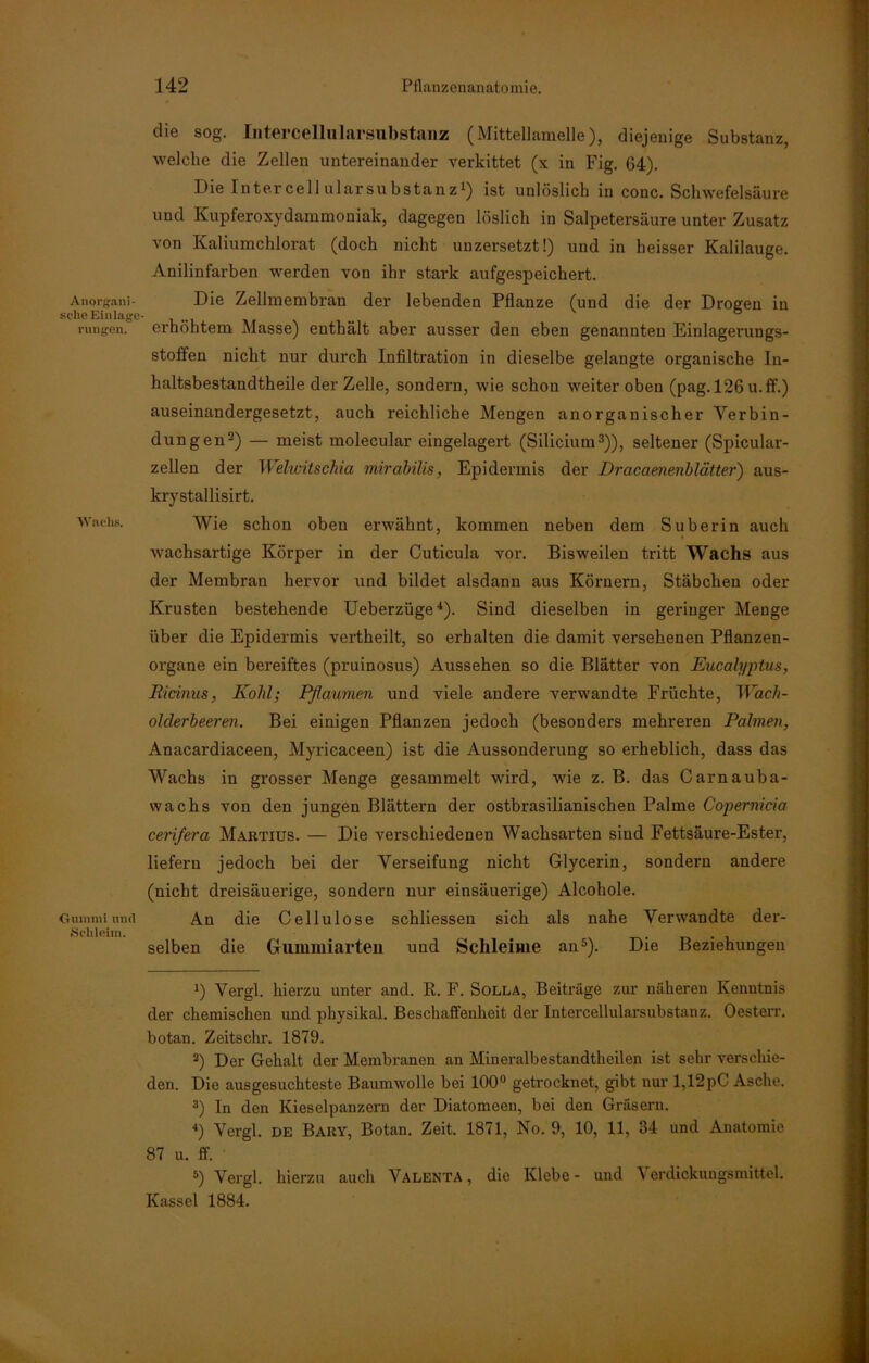 Anorgani- sche Einlage rangen. Wachs. Gummi and •Schleim. die sog. Intercellularsubstanz (Mittellamelle), diejenige Substanz, welche die Zellen untereinander verkittet (x in Fig. 64). Die Intercell ularsubstanz1) ist unlöslich in conc. Schwefelsäure und Kupferoxydammoniak, dagegen löslich in Salpetersäure unter Zusatz von Kaliumchlorat (doch nicht uuzersetzt!) und in heisser Kalilauge. Anilinfarben werden von ihr stark aufgespeichert. Die Zellmembran der lebenden Pflanze (und die der Drogen in erhöhtem Masse) enthält aber ausser den eben genannten Einlagerungs- stoffen nicht nur durch Infiltration in dieselbe gelangte organische Iu- haltsbestandtheile der Zelle, sondern, wie schon weiteroben (pag. 126 u.ff.) auseinandergesetzt, auch reichliche Mengen anorganischer Verbin- dungen2) — meist molecular eingelagert (Silicium3)), seltener (Spicular- zellen der Welwitschia mirabilis, Epidermis der Dracaenenblätter) aus- krystallisirt. Wie schon oben erwähnt, kommen neben dem Suberin auch wachsartige Körper in der Cuticula vor. Bisweilen tritt Wachs aus der Membran hervor und bildet alsdann aus Körnern, Stäbchen oder Krusten bestehende Ueberzüge4). Sind dieselben in geringer Menge über die Epidermis vertheilt, so erhalten die damit versehenen Pflanzen- organe ein bereiftes (pruinosus) Aussehen so die Blätter von Eucalyptus, Ricinus, Kohl; Pflaumen und viele andere verwandte Früchte, Wach- olderbeeren. Bei einigen Pflanzen jedoch (besonders mehreren Palmen, Anacardiaceen, Myricaceen) ist die Aussonderung so erheblich, dass das Wachs in grosser Menge gesammelt wird, wie z. B. das Carnauba- wachs von den jungen Blättern der ostbrasilianischen Palme Copernicia cerifera Martius. — Die verschiedenen Wachsarten sind Fettsäure-Ester, liefern jedoch bei der Verseifung nicht Glycerin, sondern andere (nicht dreisäuerige, sondern nur einsäuerige) Alcohole. An die Cellulose schliessen sich als nahe Verwandte der- selben die Gummiarten und Schleime an5). Die Beziehungen 1) Vergl. hierzu unter and. R. F. Solla, Beiträge zur näheren Kenntnis der chemischen und physikal. Beschaffenheit der Intercellularsubstanz. Oesterr. botan. Zeitschr. 1879. 2) Der Gehalt der Membranen an Mineralbestandtheilen ist sehr verschie- den. Die ausgesuchteste Baumwolle bei 100° getrocknet, gibt nur 1,12pC Asche. 3) In den Kieselpanzern der Diatomeen, bei den Gräsern. 4) Vergl. de Bary, Botan. Zeit. 1871, No. 9, 10, 11, 84 und Anatomie 87 u. ff. 5) Vergl. hierzu auch Valenta , die Klebe- und Verdickungsmittel. Kassel 1884.