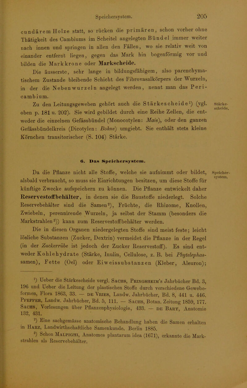 cundärem Holze statt, so rücken die primären, schon vorher ohne Thätigkeit des Cambiums im Scheitel angelegten Bündel immer weiter nach innen und springen in allen den Fällen, wo sie relativ weit von einander entfernt liegen, gegen das Mark hin bogenförmig vor und bilden die Mark kröne oder Markscheide. Die äusserste, sehr lange in bildungsfähigem, also parenchyma- tischem Zustande bleibende Schicht des Fibrovasalkörpers der Wurzeln, in der die Neben wurzel n angelegt werden, nennt man das Peri- cambium. Zu den Leitungsgeweben gehört auch die Stärkescheide1) (vgl. oben p. 181 u. 202). Sie wird gebildet durch eine Reihe Zellen, die ent- weder die einzelnen Gefässbündel (Monocotylen: Mais), oder den ganzen Gefässbündelkreis (Dicotylen: Bolme) umgiebt. Sie enthält stets kleine Körnchen transitorischer (S. 104) Stärke. O. Das Speichersystem. Da die Pflanze nicht alle Stoffe, welche sie aufnimmt oder bildet, alsbald verbraucht, so muss sie Einrichtungen besitzen, um diese Stoffe für künftige Zwecke aufspeichern zu können. Die Pflanze entwickelt daher Reservestoffbehälter, in denen sie die Baustoffe niederlegt. Solche Reservebehälter sind die Samen2), Früchte, die Rhizome, Knollen, Zwiebeln, perennirende Wurzeln, ja selbst der Stamm (besonders die Markstrahlen3)) kann zum Reservestoffbehälter werden. Die in diesen Organen niedergelegten Stoffe sind meist feste; leicht lösliche Substanzen (Zucker, Dextrin) vermeidet die Pflanze in der Regel (in der Zuckerrübe ist jedoch der Zucker Reservestoff). Es sind ent- weder Kohlehydrate (Stärke, Inulin, Cellulose, z. B. bei Phytelephas- samen), Fette (Oel) oder Eiweissubstanzen (Kleber, Aleuron); ') Ueber die Stärkescheide vergl. Sachs, Pringsheim’s Jahrbücher Bd. 3, 196 und Ueber die Leitung der plastischen Stoffe durch verschiedene Gewebe- iormen, Flora 1863, 33. — de Vries, Landw. Jahrbücher, Bd. 8, 441 u. 446. Pfeffer, Landw. Jahrbücher, Bd. 5, 111. — Sachs, Botan. Zeitung 1859, 177. Sachs, Vorlesungen über Pflanzenphysiologie, 433. — de Bary, Anatomie 132, 431. -) Eine sachgemässe anatomische Behandlung haben die Samen erhalten in Harz, Landwirtschaftliche Samenkunde. Berlin 1885. 3) Schon Malpighi, Anatomcs plantarum idea (1671), erkannte die Mark- strahlen als Reservebehälter. Stärke- scheide. Speicher System.