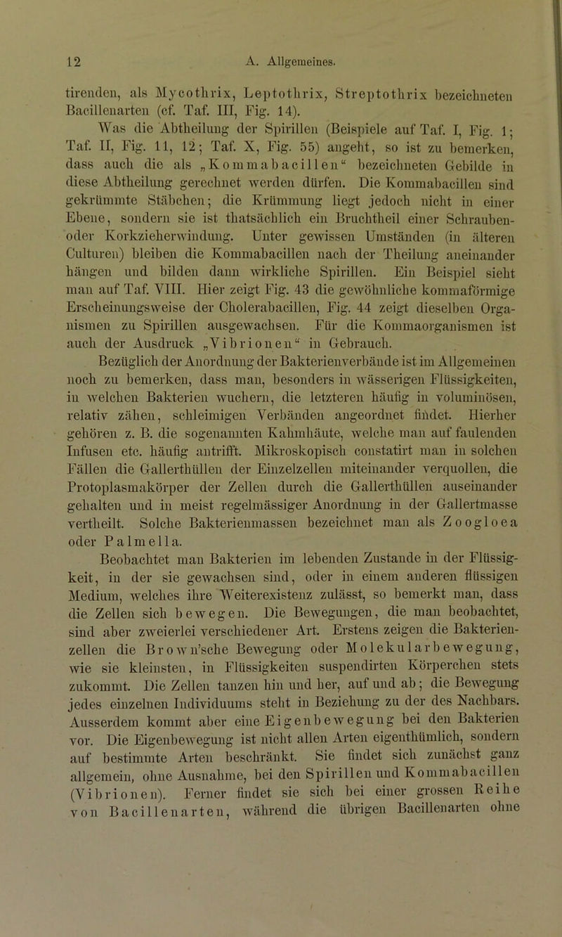 tirenden, als Mycotlivix, Leptotlirix, Streptotlirix bezeiclineten Baeillenarten (cf. Taf. III, Fig. 14). Was die Abtlieiluug der Spirillen (Beispiele auf Taf. I, Fig. 1 • Taf. II, Fig. 11, 12; Taf. X, Fig. 55) aiigeht, so ist zu bemerken, dass auch die als „ K o in m a b a c i 11 e n “ bezeiclineten Gebilde in diese Abtbeilimg gerechnet werden dürfen. Die Kommabacillen sind gekrümmte Stäbchen; die Krümmung liegt jedoch nicht in einer Ebene, sondern sie ist thatsächlich ein Bruchtheil einer Schraubeu- oder Korkzieherwin düng. Unter geAvisseu Umständen (in älteren Cultiiren) bleiben die Kommabacillen nach der Theiluiig aneinauder hängen und bilden dann wirkliche Spirilleu. Ein Beispiel sieht man auf Taf. VIII. Hier zeigt Fig. 43 die gewöhnliche kommaformige Erscheinungsweise der Cholerabacillen, Fig. 44 zeigt dieselben Orga- nismen zu Spirilleu ausgewachsen. Für die Kommaorgauismen ist auch der Ausdruck „Vibrionen“ in Gebrauch. Bezüglich der Anordnung der Bakterienverbäude ist im Allgemeinen noch zu bemerken, dass mau, besonders in Avässerigen Flüssigkeiten, in Avelchen Bakterien Avuchern, die letzteren häufig in voluminösen, relativ zähen, schleimigen Verbänden angeordnet fiiidet. Hierher gehören z. B. die sogeuamiten Kahmhäute, Avelche man auf faulenden lufuseu etc. häufig autrifft. Mikroskopisch constatirt man in solchen Fällen die Gallerthüllen der Einzelzellen miteinander verquollen, die Protoplasmakörper der Zellen durch die Gallerthüllen auseinander gehalten und in meist regelmässiger Anordnung in der Gallertmasse vertheilt. Solche Bakterieumassen bezeichnet man als Zoogloea oder P a 1 m e 11 a. Beobachtet mau Bakterien im lebenden Zustande in der Flüssig- keit, in der sie geAvachsen sind, oder in einem anderen flüssigen Medium, welches ihre Weiterexistenz zulässt, so bemerkt mau, dass die Zellen sich beAvegeu. Die BeAveguugen, die man beobachtet, sind aber zweierlei verschiedener Art. Erstens zeigen die Bakterieu- zellen die BroAvu’sche BeAvegung oder Molekular beweg uiig, Avie sie kleinsten, in Flüssigkeiten suspendirten Körperchen stets zukommt. Die Zellen tanzen hin und her, auf und ab; die BeAveguug jedes einzelnen Individuums steht in Beziehung zu der des Nachbars. Ausserdem kommt aber eine EigenbeAvegung bei den Bakterien vor. Die EigeubeAveguug ist nicht allen Arten eigenthümlich, sondern auf bestimmte Arten beschränkt. Sie findet sich zunächst ganz allgemein, ohne Ausnahme, bei den Spirillen und Kommabacillen (Vibrioneu). Ferner findet sie sich bei einer grossen Reihe von Bacillen arten, Avährend die übrigen Bacillenarten ohne