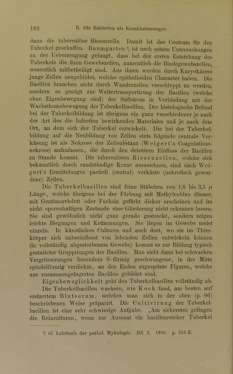 dann die tnberculöse Riesenzelle. Damit ist das Centrum für den lubeikel gescbaften. Raumgarten *) ist nach seinen Untersuchungen zu der Ueberzeugung gelaugt, dass bei der ersten Entstehung des Tuberkels die fixen Gewebszellen, namentlich die Bindegewebszellen, wesentlich mitbetheiligt sind. Aus ihnen werden durch Karyokinese junge Zellen ueugebildet, welche epithelioideu Character haben. Die Bacillen brauchen nicht durch Wauderzellen verschleppt zu werden, sondern es genügt zur Weitertrausportirung der Bacillen (welche ohne Eigenbewegung sind) der Saftstrom in Verbindung mit der Wachsthumsbewegung der Tuberkelbacillen. Der histologische Befund bei der Tuberkelbildung ist übrigens ein ganz verschiedener je nach der Art des die lufection bewirkenden Materiales und je nach dem Ort, an dem sich der Tuberkel entwickelt. Die bei der Tuberkel- bilduug auf die Neubilduug von Zellen stets folgende centrale Ver- käsung ist als Nekrose der ZellsuRstauz (Weigert’s Coagulatious- nekrose) aufzufassen, die durch den deletären Einfluss der Bacillen zu Stande kommt. Die tuberculöseu Rieseuzelleu, v>'eiche sich bekamitlich durch randständige Kerne auszeichnen, sind nach Wei- gert’s Ermittelungen partiell (central) verkäste (nekrotisch gewor- dene) Zellen. Die Tuberkelbacillen sind feine Stäbchen von 1,6 bis 3,5 /< Länge, welche übrigens bei der Färbung mit Methylenblau dünner, mit Gentianaviolett oder Fuchsin gefärbt dicker erscheinen und im nicht sporeuhaltigen Zustande eine Gliederung nicht erkeimen lassen.. Sie sind gewöhnlich nicht ganz gerade gestreckt, sondern zeigen leichte Biegungen und Krümmungen. Sie liegen im Gewebe meist einzeln. In künstlichen Culturen mid auch dort, wo sie im Thier- körper sich unbeeinflusst von lebenden Zellen entwickeln können (in vollständig abgestorbenem Gewebe) kommt es zur Bildung typisch gestalteter Gruppirungen der Bacillen. Man sieht dann bei schwachen Vergrösserungeu besonders S-förmig geschwungene, in der Mitte spindelförmig verdickte, an den Enden zugespitzte Figuren, welche aus zusammengelagerten Bacillen gebildet sind. Eigenbeweglichkeit geht den Tuberkelbacillen vollständig ab. Die Tuberkelbacillen wachsen, wie Koch fand, am besten auf erstarrtem Blutserum, welches man sich in der oben (p. 96) beschriebenen Weise präparirt. Die Cultivirung der Tuberkel- bacillen ist eine sehr schwierige Aufgabe. „Am sichersten gelingen die Reinculturen, Avenn zur Aussaat ein bacillenreicher Tuberkel ') cf. Lehrbuch der pathol. Mykologie. Bd. 2. 1890. p. 555 ft.