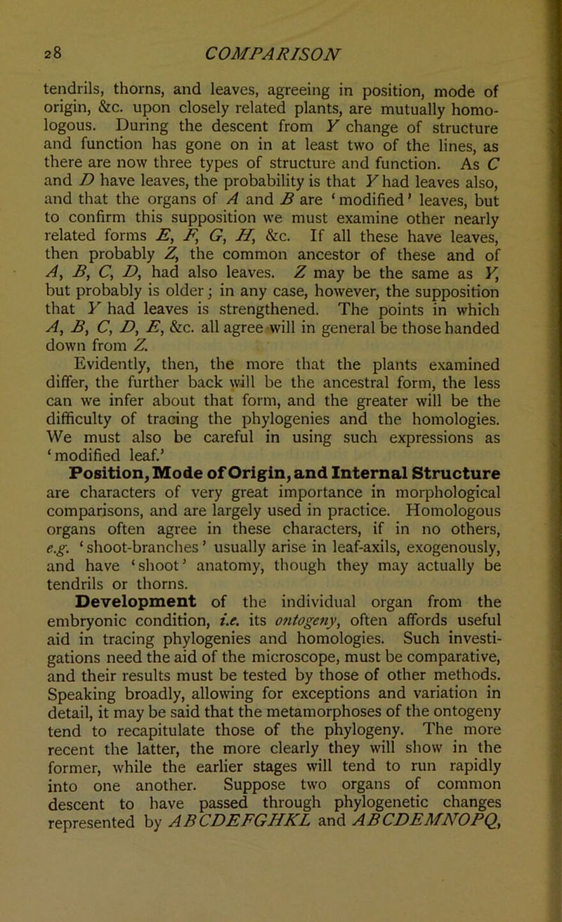 tendrils, thorns, and leaves, agreeing in position, mode of origin, &c. upon closely related plants, are mutually homo- logous. During the descent from Y change of structure and function has gone on in at least two of the lines, as there are now three types of structure and function. As C and D have leaves, the probability is that Y had leaves also, and that the organs of A and B are ‘ modified ’ leaves, but to confirm this supposition we must examine other nearly related forms E, F, G, H\ &c. If all these have leaves, then probably Z, the common ancestor of these and of A, B, C, D, had also leaves. Z may be the same as Y, but probably is older; in any case, however, the supposition that Y had leaves is strengthened. The points in which A, B, C, D, Ey &c. all agree will in general be those handed down from Z. Evidently, then, the more that the plants examined differ, the further back will be the ancestral form, the less can we infer about that form, and the greater will be the difficulty of tracing the phylogenies and the homologies. We must also be careful in using such expressions as ‘modified leaf.’ Position, Mode of Origin, and Internal Structure are characters of very great importance in morphological comparisons, and are largely used in practice. Homologous organs often agree in these characters, if in no others, e.g. ‘ shoot-branches ’ usually arise in leaf-axils, exogenously, and have ‘shoot’ anatomy, though they may actually be tendrils or thorns. Development of the individual organ from the embryonic condition, i.e. its ontogeny, often affords useful aid in tracing phylogenies and homologies. Such investi- gations need the aid of the microscope, must be comparative, and their results must be tested by those of other methods. Speaking broadly, allowing for exceptions and variation in detail, it may be said that the metamorphoses of the ontogeny tend to recapitulate those of the phylogeny. The more recent the latter, the more clearly they will show in the former, while the earlier stages will tend to run rapidly into one another. Suppose two organs of common descent to have passed through phylogenetic changes represented by AB CDEFGHKL and ABCDEMNOPQ,