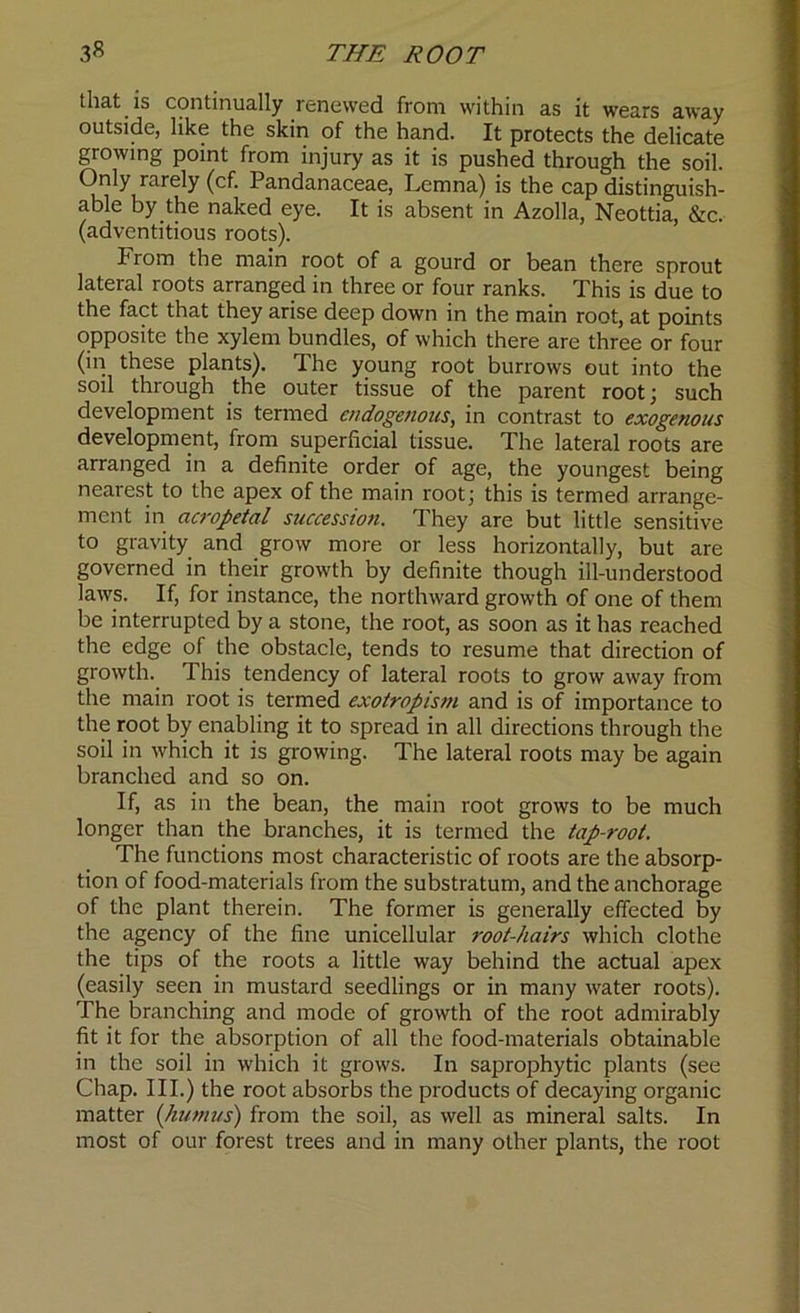 that is continually renewed from within as it wears away outside, like the skin of the hand. It protects the delicate growing point from injury as it is pushed through the soil. Only rarely (cf. Pandanaceae, Lemna) is the cap distinguish- able by the naked eye. It is absent in Azolla, Neottia, &c. (adventitious roots). From the main root of a gourd or bean there sprout lateral roots arranged in three or four ranks. This is due to the fact that they arise deep down in the main root, at points opposite the xylem bundles, of which there are three or four (in these plants). The young root burrows out into the soil through the outer tissue of the parent root; such development is termed endogenous, in contrast to exogenous development, from superficial tissue. The lateral roots are arranged in a definite order of age, the youngest being nearest to the apex of the main root; this is termed arrange- ment in acropetal succession. They are but little sensitive to gravity and grow more or less horizontally, but are governed in their growth by definite though ill-understood laws. If, for instance, the northward growth of one of them be interrupted by a stone, the root, as soon as it has reached the edge of the obstacle, tends to resume that direction of growth. This tendency of lateral roots to grow away from the main root is termed exotropism and is of importance to the root by enabling it to spread in all directions through the soil in which it is growing. The lateral roots may be again branched and so on. If, as in the bean, the main root grows to be much longer than the branches, it is termed the tap-root. The functions most characteristic of roots are the absorp- tion of food-materials from the substratum, and the anchorage of the plant therein. The former is generally effected by the agency of the fine unicellular root-hairs which clothe the tips of the roots a little way behind the actual apex (easily seen in mustard seedlings or in many water roots). The branching and mode of growth of the root admirably fit it for the absorption of all the food-materials obtainable in the soil in which it grows. In saprophytic plants (see Chap. III.) the root absorbs the products of decaying organic matter (humus) from the soil, as well as mineral salts. In most of our forest trees and in many other plants, the root