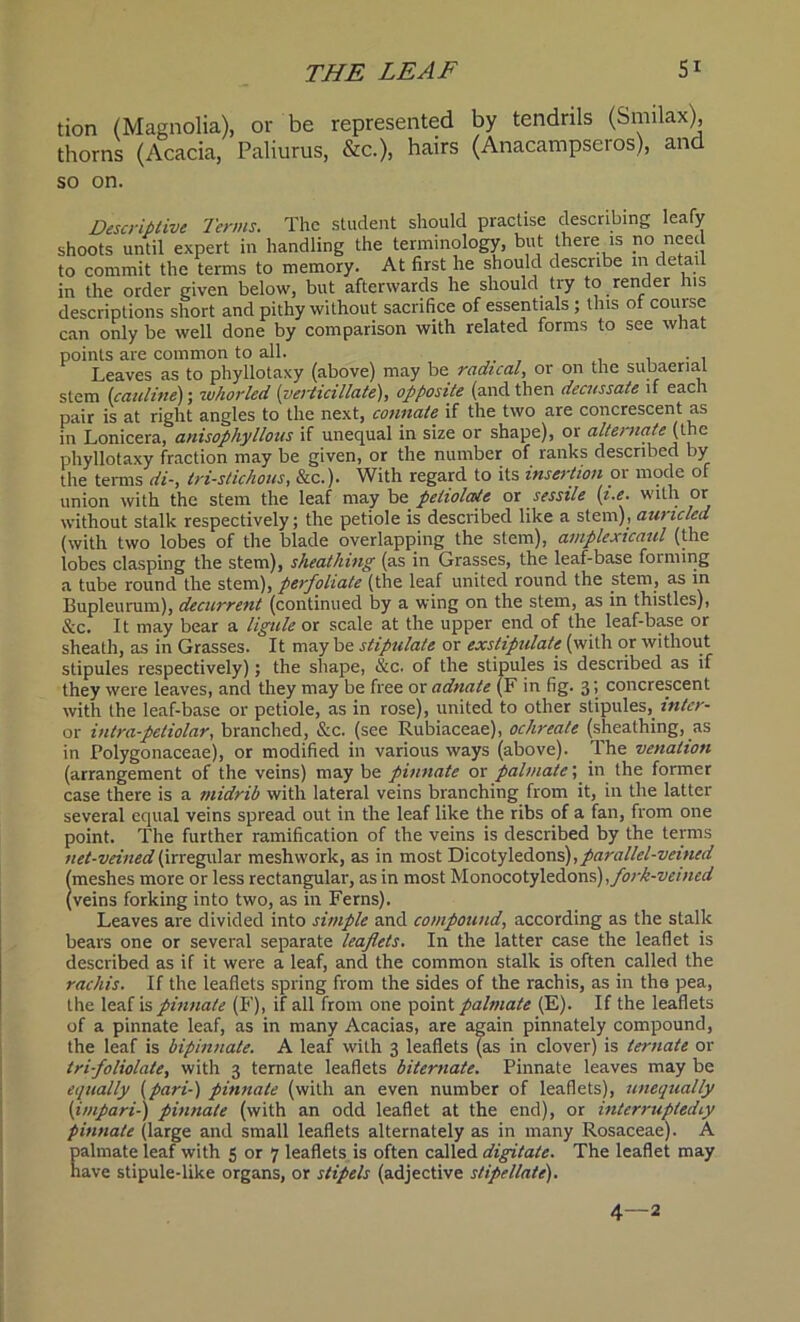 tion (Magnolia), or be represented by tendrils (Smilax), thorns (Acacia, Paliurus, &c.), hairs (Anacampseros), and so on. Descriptive Terms. The student should practise describing leafy shoots until expert in handling the terminology, but there is no need to commit the terms to memory. At first he should describe in detail in the order given below, but afterwards he should try to render his descriptions short and pithy without sacrifice of essentials ; this of course can only be well done by comparison with related forms to see what points are common to all. Leaves as to phyllotaxy (above) may be radical, or on the subaerial stem (cauline); whorled (verticillate), opposite (and then decussate if each pair is at right angles to the next, connate if the two are concrescent as in Lonicera, anisopliylloiis if unequal in size or shape), or alternate (the phyllotaxy fraction may be given, or the number of ranks described by the terms di-, tri-stichous, &c.). With regard to its insertion ox mode of union with the stem the leaf may be peiiolale ox sessile (i.e. with or without stalk respectively; the petiole is described like a stem), auricled (with two lobes of the blade overlapping the stem), amplexicaul (the lobes clasping the stem), sheathing (as in Grasses, the leaf-base forming a tube round the stem), perfoliate (the leaf united round the stem, as in Bupleurum), decurrent (continued by a wing on the stem, as in thistles), &c. It may bear a ligule or scale at the upper end of the leaf-base or sheath, as in Grasses. It may be stipulate or exstipulate (with or without stipules respectively); the shape, &c. of the stipules is described as if they were leaves, and they may be free or adnate (F in fig. 3; concrescent with the leaf-base or petiole, as in rose), united to other stipules, intcr- or intra-petiolar, branched, &c. (see Rubiaceae), ochreate (sheathing, as in Polygonaceae), or modified in various ways (above). The venation (arrangement of the veins) may be pinnate or palmate; in the former case there is a midrib with lateral veins branching from it, in the latter several equal veins spread out in the leaf like the ribs of a fan, from one point. The further ramification of the veins is described by the terms net-veined (irregular meshwork, as in most Dicotyledons), parallel-veined (meshes more or less rectangular, as in most Monocotyledons),fork-veined (veins forking into two, as in Ferns). Leaves are divided into simple and compound, according as the stalk bears one or several separate leaflets. In the latter case the leaflet is described as if it were a leaf, and the common stalk is often called the rachis. If the leaflets spring from the sides of the rachis, as in the pea, the leaf is pinnate (F), if all from one point palmate (E). If the leaflets of a pinnate leaf, as in many Acacias, are again pinnately compound, the leaf is bipinnate. A leaf with 3 leaflets (as in clover) is ternate or trifoliolate, with 3 ternate leaflets biternate. Pinnate leaves may be equally (pari-) pinnate (with an even number of leaflets), unequally (impart-) pinnate (with an odd leaflet at the end), or interruptedly pinnate (large and small leaflets alternately as in many Rosaceae). A palmate leaf with 5 or 7 leaflets is often called digitate. The leaflet may have stipule-like organs, or stipels (adjective slipellate). 4—2