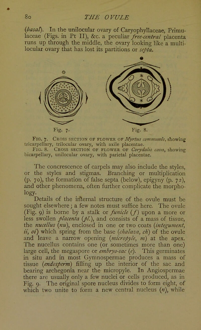 [basal). In the unilocular ovary of Caryophyllaceae, Primu- laceae (Figs, in Pt II), &c. a peculiar free-central placenta runs up through the middle, the ovary looking like a multi- locular ovary that has lost its partitions or septa. Fig. 7. Cross section of flower of Myrtus communis, showing tricarpellary, trilocular ovary, with axile placentae. Fig. 8. Cross section of flower of Corydahs cava, showing bicarpellary, unilocular ovary, with parietal placentae. The concrescence of carpels may also include the styles, or the styles and stigmas. Branching or multiplication (p. 70), the formation of false septa (below), epigyny (p. 72), and other phenomena, often further complicate the morpho- logy. Details of the internal structure of the ovule must be sought elsewhere; a few notes must suffice here. The ovule (Fig. 9) is borne by a stalk or funicle [/) upon a more or less swollen placenta (pi.), and consists of a mass of tissue, the nucellus [nu), enclosed in one or two coats [integument, ii, oi) which spring from the base [chalaza, ch) of the ovule and leave a narrow opening [micropyle, m) at the apex. The nucellus contains one (or sometimes more than one) large cell, the megaspore or embryo-sac [e). This germinates in situ and in most Gymnospermae produces a mass of tissue [endosperm) filling up the interior of the sac and bearing archegonia near the micropyle. In Angiospermae there are usually only a few nuclei or cells produced, as in Fig. 9. The original spore nucleus divides to form eight, of which two unite to form a new central nucleus («), while Fig. 7. Fig. 8.