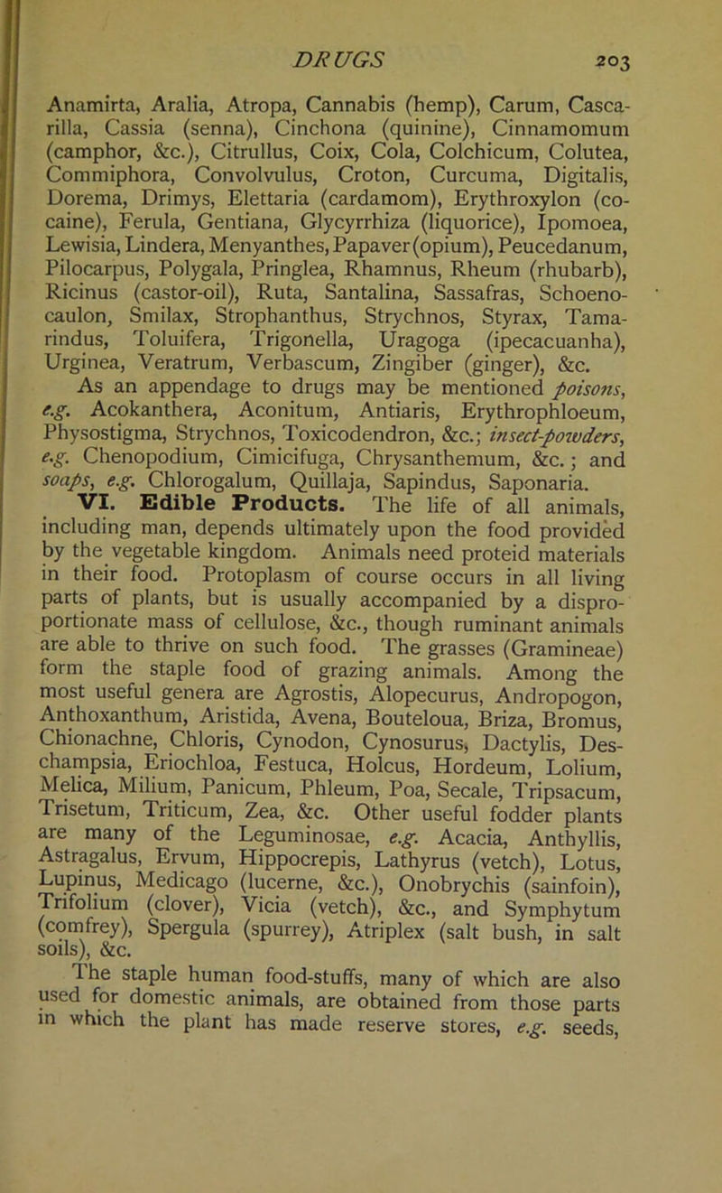DRUGS Anamirta, Aralia, Atropa, Cannabis (hemp), Carum, Casca- rilla, Cassia (senna), Cinchona (quinine), Cinnamomum (camphor, &c.), Citrullus, Coix, Cola, Colchicum, Colutea, Commiphora, Convolvulus, Croton, Curcuma, Digitalis, Dorema, Drimys, Elettaria (cardamom), Erythroxylon (co- caine), Ferula, Gentiana, Glycyrrhiza (liquorice), Ipomoea, Lewisia, Lindera, Menyanthes, Papa ver (opium), Peucedanum, Pilocarpus, Polygala, Pringlea, Rhamnus, Rheum (rhubarb), Ricinus (castor-oil), Ruta, Santalina, Sassafras, Schoeno- caulon, Smilax, Strophanthus, Strychnos, Styrax, Tama- rindus, Toluifera, Trigonella, Uragoga (ipecacuanha), Urginea, Veratrum, Verbascum, Zingiber (ginger), &c. As an appendage to drugs may be mentioned poisons, e.g. Acokanthera, Aconitum, Antiaris, Erythrophloeum, Physostigma, Strychnos, Toxicodendron, &c.; insect-powders, e.g. Chenopodium, Cimicifuga, Chrysanthemum, &c.; and soaps, eg. Chlorogalum, Quillaja, Sapindus, Saponaria. VI. Edible Products. The life of all animals, including man, depends ultimately upon the food provided by the vegetable kingdom. Animals need proteid materials in their food. Protoplasm of course occurs in all living parts of plants, but is usually accompanied by a dispro- portionate mass of cellulose, &c., though ruminant animals are able to thrive on such food. The grasses (Gramineae) form the staple food of grazing animals. Among the most useful genera are Agrostis, Alopecurus, Andropogon, Anthoxanthum, Aristida, Avena, Bouteloua, Briza, Bromus, Chionachne, Chloris, Cynodon, Cynosurus, Dactylis, Des- champsia, Eriochloa, Festuca, Holcus, Hordeum, Lolium, Melica, Milium, Panicum, Phleum, Poa, Secale, Tripsacum, Trisetum, Triticum, Zea, &c. Other useful fodder plants are many of the Leguminosae, e.g. Acacia, Anthyllis, Astragalus, Ervum, Hippocrepis, Lathyrus (vetch), Lotus, Lupinus, Medicago (lucerne, &c.), Onobrychis (sainfoin), Trifolium (clover), Vicia (vetch), &c., and Symphytum (comfrey), Spergula (spurrey), Atriplex (salt bush, in salt soils), &c. The staple human food-stuffs, many of which are also used for domestic animals, are obtained from those parts in which the plant has made reserve stores, e.g. seeds,