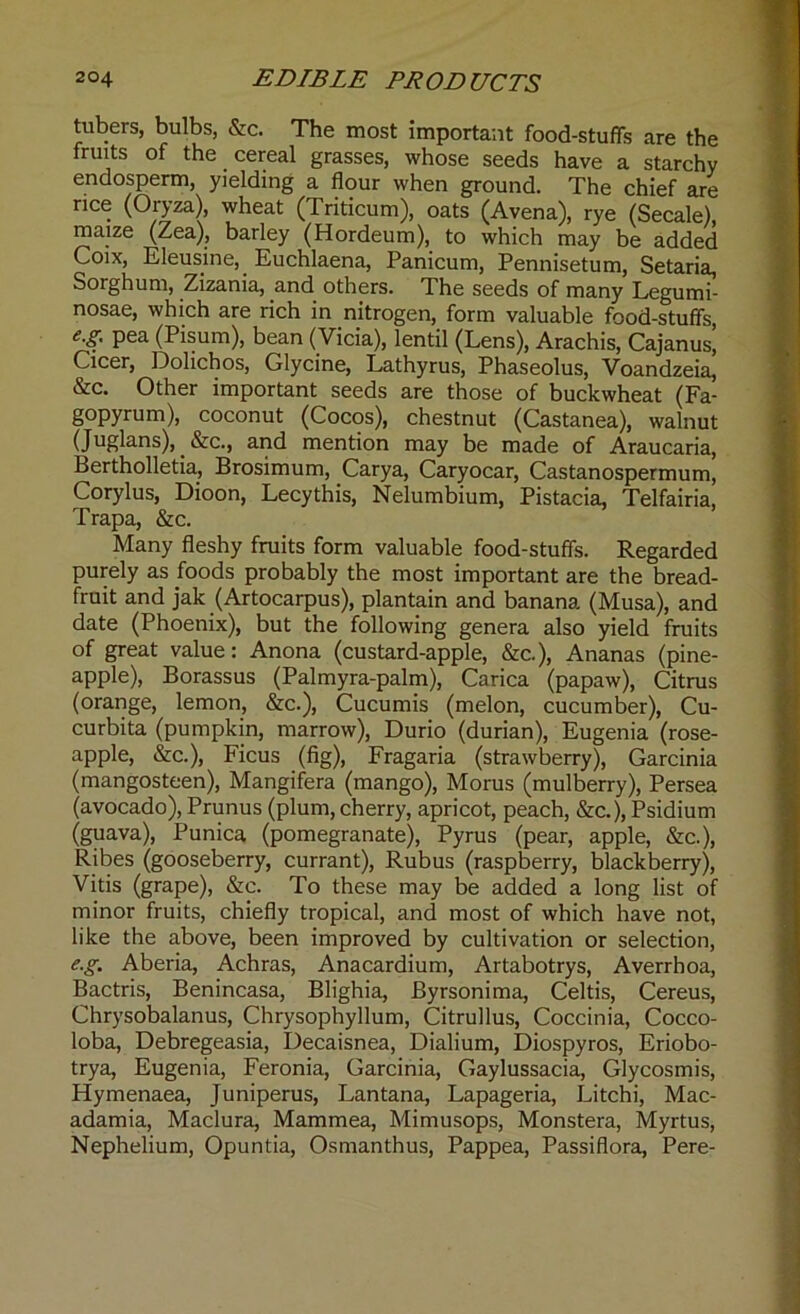 tubers, bulbs, &c. The most important food-stuffs are the fruits of the cereal grasses, whose seeds have a starchy endosperm, yielding a flour when ground. The chief are nee (Oryza), wheat (Triticum), oats (Avena), rye (Secale), maize (Zea), barley (Hordeum), to which may be added Coix, Eleusine, Euchlaena, Panicum, Pennisetum, Setaria, Sorghum, Zizania, and others. The seeds of many Legumi- nosae, which are rich in nitrogen, form valuable food-stuffs e.g. pea (Pisum), bean (Vicia), lentil (Lens), Arachis, Cajanus| Cicer, Dohchos, Glycine, Lathyrus, Phaseolus, Voandzeia, &c. Other important seeds are those of buckwheat (Fa- gopyrum), coconut (Cocos), chestnut (Castanea), walnut (Juglans),. &c., and mention may be made of Araucaria, Bertholletia, Brosimum, Carya, Caryocar, Castanospermum, Corylus, Dioon, Lecythis, Nelumbium, Pistacia, Telfairia, Trapa, &c. Many fleshy fruits form valuable food-stuffs. Regarded purely as foods probably the most important are the bread- fruit and jak (Artocarpus), plantain and banana (Musa), and date (Phoenix), but the following genera also yield fruits of great value: Anona (custard-apple, &c.), Ananas (pine- apple), Borassus (Palmyra-palm), Carica (papaw), Citrus (orange, lemon, &c.), Cucumis (melon, cucumber), Cu- curbita (pumpkin, marrow), Durio (durian), Eugenia (rose- apple, &c.), Ficus (fig), Fragaria (strawberry), Garcinia (mangosteen), Mangifera (mango), Morus (mulberry), Persea (avocado), Prunus (plum, cherry, apricot, peach, &c.), Psidium (guava), Punica (pomegranate), Pyrus (pear, apple, &c.), Ribes (gooseberry, currant), Rubus (raspberry, blackberry), Vitis (grape), &c. To these may be added a long list of minor fruits, chiefly tropical, and most of which have not, like the above, been improved by cultivation or selection, e.g. Aberia, Achras, Anacardium, Artabotrys, Averrhoa, Bactris, Benincasa, Blighia, Byrsonima, Celtis, Cereus, Chrysobalanus, Chrysophyllum, Citrullus, Coccinia, Cocco- loba, Debregeasia, Decaisnea, Dialium, Diospyros, Eriobo- trya, Eugenia, Feronia, Garcinia, Gaylussacia, Glycosmis, Hymenaea, Juniperus, Lantana, Lapageria, Litchi, Mac- adamia, Madura, Mammea, Mimusops, Monstera, Myrtus, Nephelium, Opuntia, Osmanthus, Pappea, Passiflora, Pere-