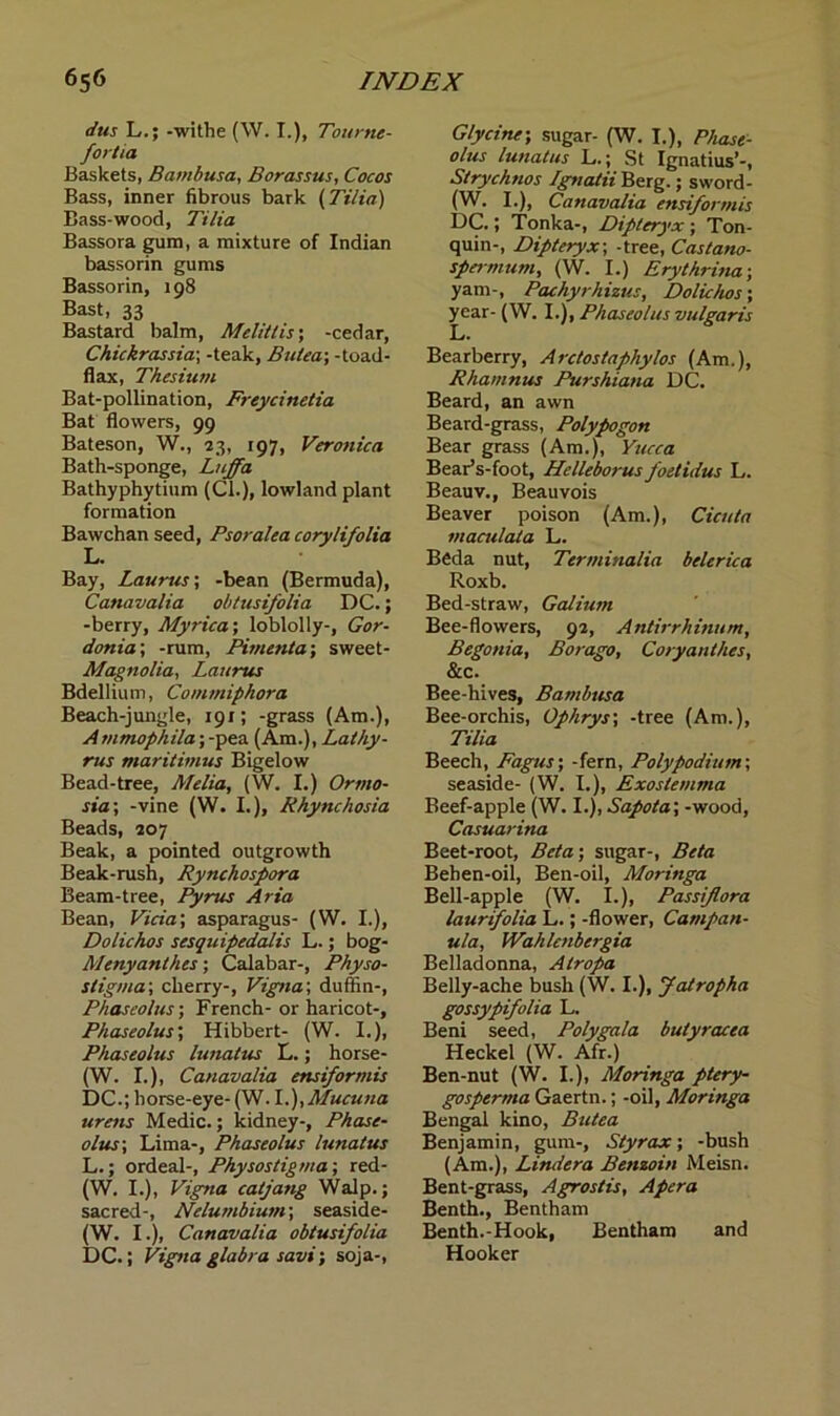 dus L.; -withe (W. I.), Tourne- fortia Baskets, Bambusa, Borassus, Cocos Bass, inner fibrous bark (Tilia) Bass-wood, Tilia Bassora gum, a mixture of Indian bassorin gums Bassorin, 198 Bast, 33 Bastard balm, Melitlis; -cedar, Chickrassia; -teak, Butea; -toad- flax, Thesium Bat-pollination, Freycinetia Bat flowers, 99 Bateson, W., 23, 197, Veronica Bath-sponge, Luffa Bathyphytium (Cl.), lowland plant formation Bawchan seed, Psoralea corylifolia L. Bay, Laurus; -bean (Bermuda), Canavalia obtusifolia DC.; -berry, Myrica; loblolly-, Gor- donia; -rum, Pimenta; sweet- Magnolia, Laurus Bdellium, Commiphora Beach-jungle, 191; -grass (Am.), Ammophila; -pea (Am.), Lalhy- rus maritimus Bigelow Bead-tree, Melia, (W. I.) Ortno- sia; -vine (W. I.), Rhynehosia Beads, 207 Beak, a pointed outgrowth Beak-rush, Rynchospora Beam-tree, Pyrus Aria Bean, Vida; asparagus- (W. I.), Dolichos sesquipedalis L.; bog- Menyanthes; Calabar-, Physo- stigma; cherry-, Vigna\ duffin-, Phaseolus; French- or haricot-, Phaseolus; Hibbert- (W. I.), Phaseolus lunatus L.; horse- (W. I.), Canavalia ensiformis DC.; horse-eye- (W. l.),Mucuna urens Medic.; kidney-, Phase- olus7 Lima-, Phaseolus lunatus L.; ordeal-, Physostigma; red- (W. I.), Vigna catjang Walp.; sacred-, Nelumbium; seaside- (W. I.), Canavalia obtusifolia DC.; Vigna glabra savi; soja-, Glycine; sugar- (W. I.), Phase- olus lunatus L.; St Ignatius’-, Strychnos Ignatii Berg.; sword- (W. I.), Canavalia ensiformis DC.; Tonka-, Dipleryx; Ton- quin-, Dipteryx; -tree, Castano- spermum, (W. I.) Erythrina-, yam-, Pachyrhizus, Dolichos; year- (W. I.), Phaseolus vulgaris L* Bearberry, Arctostaphylos (Am.), Rhamnus Purshiana DC. Beard, an awn Beard-grass, Polypogon Bear grass (Am.), Yucca Bear’s-foot, Helleborus foetidus L. Beauv., Beauvois Beaver poison (Am.), Cicuta vtaculala L. Beda nut, Terminalia belerica Roxb. Bed-straw, Galium Bee-flowers, 92, Antirrhinum, Begonia, Borago, Coryanthes, &c. Bee-hives, Bambusa Bee-orchis, Ophrys', -tree (Am.), Tilia Beech, Fagus; -fern, Polypodium\ seaside- (W. I.), Exoslemma Beef-apple (W. I.), Sapota \ -wood, Casuarina Beet-root, Beta; sugar-, Beta Behen-oil, Ben-oil, Moringa Bell-apple (W. I.), Passiflora laurifolia L.; -flower, Campan- ula, Wahlcnbergia Belladonna, Atropa Belly-ache bush (W. I.), Jatropha gossypifolia L. Beni seed, Poly gala butyracea Heckel (W. Afr.) Ben-nut (W. I.), Moringa ptery- gosperma Gaertn.; -oil, Moringa Bengal kino, Butea Benjamin, gum-, Styrax; -bush (Am.), Lindera Benzoin Meisn. Bent-grass, Agrostis, Apera Benth., Bentham Benth.-Hook, Bentham and Hooker