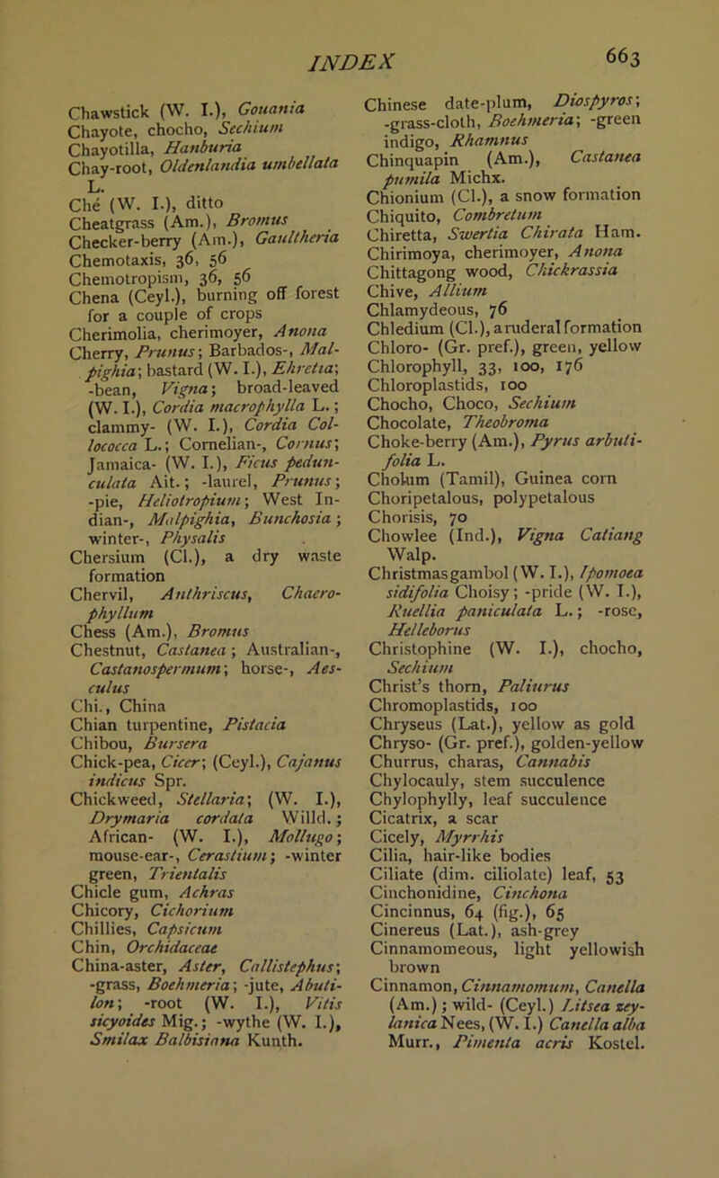 Chawstick (W. I.), Gouania Chayote, chocho, Sechium Chayotilla, Hanburia Chay-root, Oldenlandia umbellata L. Che (W. I.), ditto Cheatgrass (Am.). Bromus Checker-berry (Am.), Gaultheria Chemotaxis, 36, 56 Chemotropism, 36, 56 Chena (Ceyl.), burning off forest for a couple of crops Cherimolia, cherimoyer, Anona Cherry, Primus-, Barbados-, Mal- pighia-, bastard (W. I.), Ehretia\ -bean, Vigna; broad-leaved (W. I.), Cordia macrophylla L.; clammy- (W. I.), Cordia Col- lococca L.; Cornelian-, Conius; Jamaica- (W. I.), Ficus pedun- culata Ait.; -laurel, Primus-, -pie, Hdiotropium-, West In- dian-, Malpighia, Bunchosia ; winter-, Pkysalis Chersium (Cl.), a dry waste formation Chervil, Anthriscus, Chaero- phyllum Chess (Am.), Bromus Chestnut, Castanea ; Australian-, Castanospennum-, horse-, Aes- culus Chi., China Chian turpentine, Pistacia Chibou, Bursera Chick-pea, Cicer\ (Ceyl.), Cajanus indicus Spr. Chickweed, Sldlaria; (W. I.), Dry maria cor data Willd.; African- (W. I.), Mollugo-, mouse-ear-, Cerastium; -winter green, Trientalis Chicle gum, Achras Chicory, Cichorium Chillies, Capsicum Chin, Orchidaceae China-aster, Aster, Callistephus-, -grass, Boehmeria-, -jute, Abuti- lon; -root (W. I.), Vitis sicyoides Mig.; -wythe (W. I.), Smilax Balbisiana Kunth. Chinese date-plum, Diospyros-, -grass-cloth, Boehmeria', -green indigo, Rhamnus Chinquapin (Am.), Castanea pumila Michx. Chionium (Cl.), a snow formation Chiquito, Combretum Chiretta, Swertia Chirata Ham. Chirimoya, cherimoyer, Anona Chittagong wood, Chickrassia Chive, Allium Chlamydeous, 76 Chledium (Cl.), aruderalformation Chloro- (Gr. pref.), green, yellow Chlorophyll, 33, 100, 176 Chloroplastids, 100 Chocho, Choco, Sechium Chocolate, Theobroma Choke-berry (Am.), Pyrus arbuli- folia L. Chol-um (Tamil), Guinea corn Choripetalous, polypetalous Chorisis, 70 Chowlee (Ind.), Vigna Catiang Walp. Christmas gambol (W. I.), [pomoea sidi/olia Choisy; -pride (W. I.), Ruellia paniculata L.; -rose, Helleborus Christophine (W. I.), chocho, Sechium Christ’s thorn, Paliurus Chromoplastids, 100 Chryseus (Lat.), yellow as gold Chryso- (Gr. pref.), golden-yellow Churrus, charas, Cannabis Chylocauly, stem succulence Chylophylly, leaf succulence Cicatrix, a scar Cicely, Myrrhis Cilia, hair-like bodies Ciliate (dim. ciliolate) leaf, 53 Cinchonidine, Cinchona Cincinnus, 64 (fig.), 65 Cinereus (Lat.), ash-grey Cinnamomeous, light yellowish brown Cinnamon, Cinnamomum, Canella (Am.); wild- (Ceyl.) Litsea zey- lanica Nees, (W. I.) Canella alba Murr., Pimenla acris Kostel.