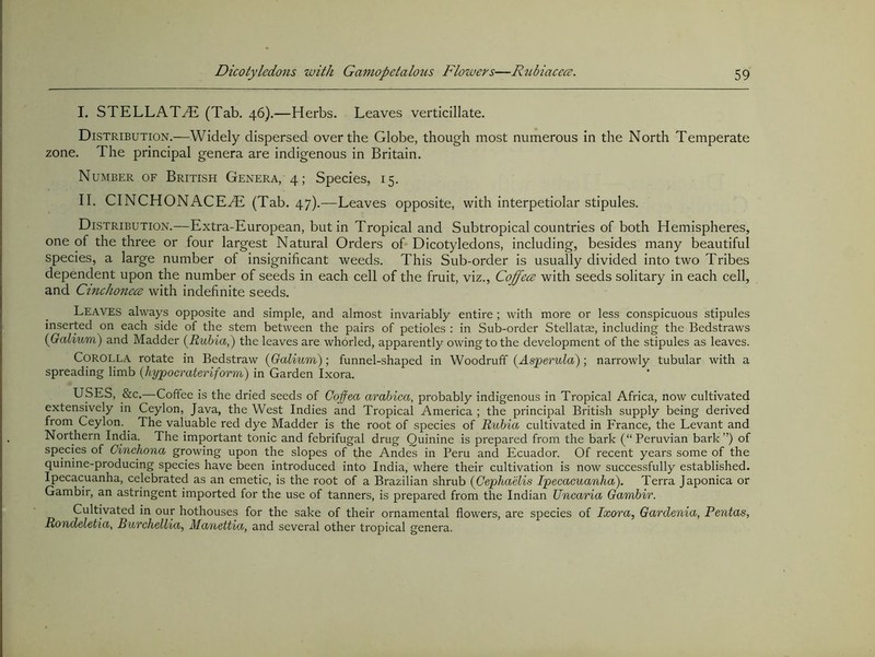 I. STELLAT^E (Tab. 46).—Herbs. Leaves verticillate. Distribution.—Widely dispersed over the Globe, though most numerous in the North Temperate zone. The principal genera are indigenous in Britain. Number of British Genera, 4; Species, 15. II. CINCHONACEHl (Tab. 47).—Leaves opposite, with interpetiolar stipules. Distribution.—Extra-European, but in Tropical and Subtropical countries of both Hemispheres, one of the three or four largest Natural Orders of Dicotyledons, including, besides many beautiful species, a large number of insignificant weeds. This Sub-order is usually divided into two Tribes dependent upon the number of seeds in each cell of the fruit, viz.. Coffees with seeds solitary in each cell, and CinchonecB with indefinite seeds. Leaves always opposite and simple, and almost invariably entire ; with more or less conspicuous stipules inserted on each side of the stem between the pairs of petioles : in Sub-order Stellate, including the Bedstraws {Galitom) and Madder {Ruhia,) the leaves are whorled, apparently owing to the development of the stipules as leaves. Corolla rotate in Bedstraw (Galium); funnel-shaped in Woodruff (Asyeruld); narrowly tubular with a spreading limb (hypocrateriform) in Garden Ixora. USES, &c.—Coffee is the dried seeds of Gopea arabica, probably indigenous in Tropical Africa, now cultivated extensively in Ceylon, Java, the West Indies and Tropical America ; the principal British supply being derived from Ceylon. ^ The valuable red dye Madder is the root of species of Rubia cultivated in France, the Levant and Northern India. The important tonic and febrifugal drug Quinine is prepared from the bark (“ Peruvian bark ”) of species of Cinchona growing upon the slopes of the Andes in Peru and Ecuador. Of recent years some of the quinine-producing species have been introduced into India, where their cultivation is now successfully established. Ipecacuanha, celebrated as an emetic, is the root of a Brazilian shrub (Gepha'dis Ipecacuanha). Terra Japonica or Gambir, an astringent imported for the use of tanners, is prepared from the Indian Uncaria Gambir. Cultivated in our hothouses for the sake of their ornamental flowers, are species of Ixora, Gardenia, Rentas, Rondeletia, Burchellia, Manettia, and several other tropical genera.