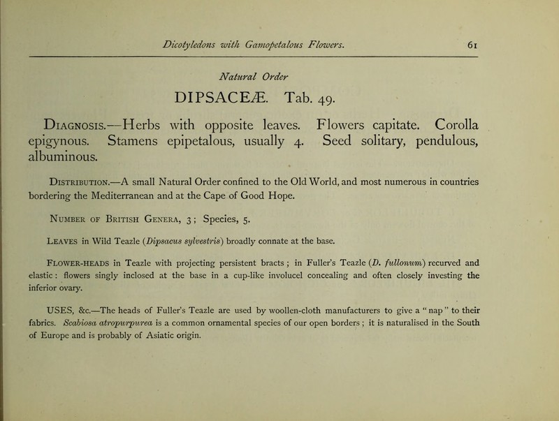 Natural Order DIPSACEiE. Tab. 49. Diagnosis.—Herbs with opposite leaves. Flowers capitate. Corolla epigynous. Stamens epipetalous, usually 4. Seed solitary, pendulous, albuminous. Distribution.—A small Natural Order confined to the Old World, and most numerous in countries bordering the Mediterranean and at the Cape of Good Hope. Number of British Genera, 3 ; Species, 5. Leaves in Wild Teazle {Dipsacus sylvestris) broadly connate at the base. Flower-HEADS in Teazle with projecting persistent bracts ; in Fuller’s Teazle (Z). fullonum) recurved and elastic ; flowers singly inclosed at the base in a cup-like involucel concealing and often closely investing the inferior ovary. USES, &c.—The heads of Fuller’s Teazle are used by woollen-cloth manufacturers to give a “nap” to their fabrics. Scabiosa atropurpurea is a common ornamental species of our open borders ; it is naturalised in the South of Europe and is probably of Asiatic origin.