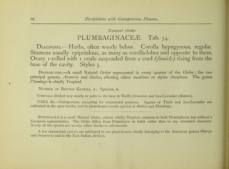 Nattcral Order PLUMBAGINACE^. Tab. 54. Diagnosis.—Herbs, often woody below. Corolla hypogynous, regular. Stamens usually epipetalous, as many as corolla-lobes and opposite to them. Ovary i-celled with i ovule suspended from a cord (funicle) rising from the base of the cavity. Styles 5. Distribution.—A small Natural Order represented in every *^quarter of the Globe ; the two principal genera, Armeria and Statice^ affecting either maritime or alpine situations. The genus Phimbago is chiefly Tropical. Number of British Genera, 2 ; Species, 6. Corolla divided very nearly or quite to the base in Thrift (Armeria) and Sea-Lavender (Statice). USES, &c.—Unimportant, excepting for ornamental purposes. Species of Thrift and Sea-Lavender are cultivated in the open border, and in plant-houses exotic species of Statice and Plumbago. Myrsinaceal is a small Natural Order, almost wholly Tropical, common to both Hemispheres, but without a European representative. The Order differs from Primulaceae in ha-bit rather than in any structural character. Nearly all the species are woody, either shrubs or arborescent. A few ornamental species are cultivated in our plant-houses, chiefly belonging to the American genera Clavija and Jacquinia and to the East Indian Ardisia.