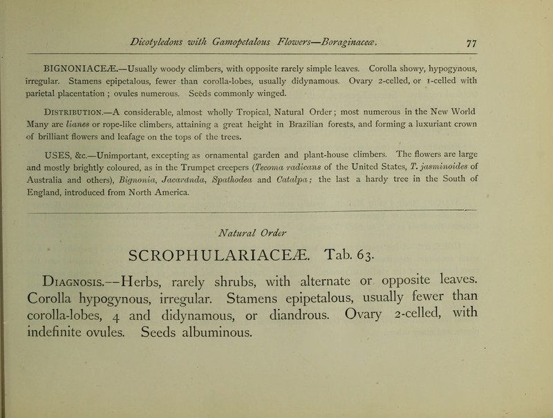 BIGNONIACEyE.—Usually woody climbers, with opposite rarely simple leaves. Corolla showy, hypogynous, irregular. Stamens epipetalous, fewer than corolla-lobes, usually didynamous. Ovary 2-celled, or i-celled with parietal placentation ; ovules numerous. Seeds commonly winged. Distribution.—A considerable, almost wholly Tropical, Natural Order; most numerous in the New World Many are Hanes or rope-like climbers, attaining a great height in Brazilian forests, and forming a luxuriant crown of brilliant flowers and leafage on the tops of the trees. USES, &c.—Unimportant, excepting as ornamental garden and plant-house climbers. The flowers are large and mostly brightly coloured, as in the Trumpet creepers (Tecoma radicans of the United States, T. jasminoides of Australia and others), Bignonia, Jacardnda, Spathodea and Catalpa; the last a hardy tree in the South of England, introduced from North America. Natural Order SCROPHULARIACEiE. Tab. 63. Diagnosis.—Herbs, rarely shrubs, with alternate or opposite leaves. Corolla hypogynous, irregular. Stamens epipetalous, usually fewer than corolla-lobes, 4 and didynamous, or diandrous. Ovary 2-celled, with indefinite ovules. Seeds albuminous.