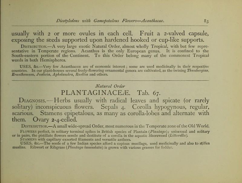 usually with 2 or more ovules in each cell. Fruit a 2-valved capsule, exposing the seeds supported upon hardened hooked or cup-like supports. Distribution.—A very large exotic Natural Order, almost wholly Tropical, with but few repre- sentative in Temperate regions. Acanthus is the only European genus. It is confined to the South-eastern portion of the Continent. To this Order belong many of the commonest Tropical weeds in both Hemispheres. USES, &c.—Very few Acanthacese are of economic interest; some are used medicinally in their respective countries. In our plant-houses several freely-flowering ornamental genera are cultivated, as the twining Thunhergias, Eranthemum, Justicia, Aphelandra, Ruellia and others. Natural Order PLANTAGINACEiE. Tab. 67. D lAGNOSis.— Herbs usually with radical leaves and spicate (or rarely solitary) inconspicuous flowers. Sepals 4. Corolla hypogynous, regular, scarious. Stamens epipetalous, as many as corolla-lobes and alternate with them. Ovary 2-4-celled. Distribution.—A small wide-spread Order, most numerous in the Temperate zone of the Old World. Flowers perfect, in solitary terminal spikes in British species of Plantain {Plantago); unisexual and solitary or in pairs, the pistillate flowers sessile and destitute of a corolla in the aquatic Shoreweed (Littorella). Stamens with capillary exserted filaments and versatile anthers. USES, &c.—The seeds of a few Indian species afford a copious mucilage, used medicinally and also to stiffen muslins. Ribwort or Ribgrass {Plantago lanceolatd) is grown with various grasses for fodder.