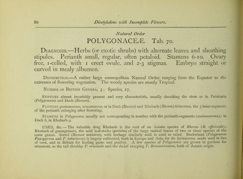 Nahiral Order POLYGONACE^. Tab. 70. Diagnosis.—Herbs (or exotic shrubs) with alternate leaves and sheathing stipules. Perianth small, regular, often petaloid. Stamens 6-10. Ovary free, i-celled, with i erect ovule, and 2-3 stigmas. Embryo straight or curved in mealy albumen. Distribution.—A rather large cosmopolitan Natural Order, ranging from the Equator to the extremes of flowering vegetation. The woody species are mostly Tropical. Number of British Genera, 3 ; Species, 27. Stipules almost invariably present and very characteristic, usually sheathing the stem as in Persicaria (Polygonum) and Dock (Rumex). Flowers pentamerous, tetramerous, or in Dock (Rumex) and Rhubarb (Rheum) trimerous, the 3 inner segments of the perianth enlarging after flowering. Stamens in Polygonum usually not corresponding in number with the perianth-segments (amsomerows); in Dock 6, in Rhubarb 9. USES, &c. — The valuable drug Rhubarb is the root of an Asiatic species of Rheum (R. opicinale); Rhubarb of greengrocers, the acid leaf-stalks ('petioles) of the large radical leaves of two or three species of the same genus. Sorrel (Rumex scutatus), with herbage similarly acid, is used as salad. Buckwheat (Polygonum Fagopyrum and P. tataricum) is largely cultivated, both in Europe and Asia, for its farinaceous seeds used in lieu of corn, and in Britain for feeding game and poultry. A few species of Polygonum are grown in gardens for ornament, as the tall shrubby P. orientale and the dwarf creeping P. Brunonianum, both of Asiatic origin.