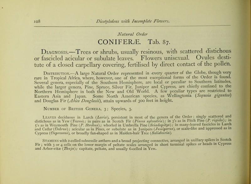 Nahiral Order CONIFERS. Tab. 87. D lAGNOSis.—Trees or shrubs, usually resinous, with scattered distichous or fascicled acicular or subulate leaves. Flowers unisexual. Ovules desti- tute of a closed carpellary covering, fertilised by direct contact of the pollen. Distribution.—A large Natural Order represented in -every quarter of the Globe, though very rare in Tropical Africa, where, however, one of the most exceptional forms of the Order is found. Several genera, especially of the Southern Hemisphere, are local or peculiar to Southern latitudes, while the larger genera. Pine, Spruce, Silver Fir, Juniper and Cypress, are chiefly confined to the Northern Hemisphere in both the New and Old World. A few peculiar types are restricted to Eastern Asia and Japan. Some North American species, as Wellingtonia {^Sequoia gigantea) and Douglas Fir [Abies Douglasii), attain upwards of 300 feet in height. Number or British Genera, 3 ; Species, 3. Leaves deciduous in Larch [Larix), persistent in most of the genera of the Order : singly scattered and distichous as in Yew [Taxus); in pairs as in Scotch Fir [Pinus sylvestris); in 3’s as in Pitch Pine (P. rigida); in 5’s as in Weymouth Pine (P. Strobus); whorled in Umbrella Pine [Sciadopitys); in many-leaved fascicles in Larch and Cedar [Gedrus); acicular as in Pines, or subulate as in Junipers [Juniperus), or scale-like and appressed as in Cypress [Gupressus), or broadly fan-shaped as in Maiden-hair Tree [Scdisburia). Stamens with 2-celled subsessile anthers and a broad projecting connective, arranged in axillary spikes in Scotch Fir ; with 3 or 4 cells on the lower margin of peltate scales arranged in short terminal spikes or heads in Cypress and Arbor-vitae [Thuja); capitate, peltate, and usually 6-celled in Yew.