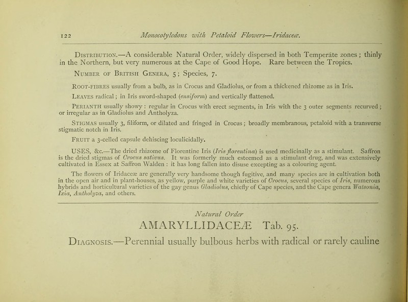 Distribution.—A considerable Natural Order, widely dispersed in both Temperate zones ; thinly in the Northern, but very numerous at the Cape of Good Hope. Rare between the Tropics. Number of British Genera, 5 ; Species, 7. Root-fibres usually from a bulb, as in Crocus and Gladiolus, or from a thickened rhizome as in Iris. Leaves radical; in Iris sword-shaped {ensiform) and vertically flattened. Perianth usually showy : regular in Crocus with erect segments, in Iris with the 3 outer segments recurved ; or irregular as in Gladiolus and Antholyza. Stigmas usually 3, filiform, or dilated and fringed in Crocus ; broadly membranous, petaloid with a transverse stigmatic notch in Iris. Fruit a 3-celled capsule dehiscing loculicidally. USES, &c.—The dried rhizome of Florentine Iris {Iris florentina) is used medicinally as a stimulant. Saffron is the dried stigmas of Crocus sativus. It was formerly much esteemed as a stimulant drug, and was extensively cultivated in Essex at Saffron Walden : it has long fallen into disuse excepting as a colouring agent. The flowers of Iridacem are generally very handsome though fugitive, and many species are in cultivation both in the open air and in plant-houses, as yellow, purple and white varieties of Crocus, several species of Iris, numerous hybrids and horticultural varieties of the gay genus Gladiolus, chiefly of Cape species, and the Cape genera Watsonia, Ixia, Antholyza, and others. Natural Order AMARYLLIDACEA; Tab. 95. D lAGNOSis.—Perennial usually bulbous herbs with radical or rarely cauline