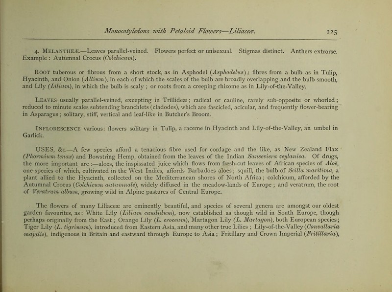 4. Melanthe.^.—Leaves parallel-veined. Flowers perfect or unisexual. Stigmas distinct. Anthers extrorse. Example : Autumnal Crocus {Colchicum). Root tuberous or fibrous from a short stock, as in Asphodel {Asphodelus); fibres from a bulb as in Tulip, Hyacinth, and Onion (^Allium), in each of which the scales of the bulb are broadly overlapping and the bulb smooth, and Lily (Lilium), in which the bulb is scaly ; or roots from a creeping rhizome as in Lily-of-the-Valley. Leaves usually parallel-veined, excepting in Trillideae; radical or cauline, rarely sub-opposite or whorled ; reduced to minute scales subtending branchlets (cladodes), which are fascicled, acicular, and frequently flower-bearing* in Asparagus ; solitary, stiff, vertical and leaf-like in Butcher’s Broom. Inflorescence various: flowers solitary in Tulip, a raceme in Hyacinth and Lily-of-the-Valley, an umbel in Garlick. USES, &c.—A few species afford a tenacious fibre used for cordage and the like, as New Zealand Flax (Phormium tenax) and Bowstring Hemp, obtained from the leaves of the Indian Sanseviera zeylanica. Of drugs, the more important are :—aloes, the inspissated juice which flows from fresh-cut leaves of African species of Aloe, one species of which, cultivated in the West Indies, affords Barbadoes aloes; squill, the bulb of Scilla maritima, a plant allied to the Hyacinth, collected on the Mediterranean shores of North Africa; colchicum, afforded by the Autumnal Crocus {Colchicum autumnale), widely diffused in the meadow-lands of Europe ; and veratrum, the root of Veratrum album, growing wild in Alpine pastures of Central Europe. The flowers of many Liliacese are eminently beautiful, and species of several genera are amongst our oldest garden favourites, as: White Lily {Lilium candidum), now established as though wild in South Europe, though perhaps originally from the East; Orange Lily {L. eroeeum), Martagon Lily (L. Martagon), both European species; Tiger Lily {L. tigrinum), introduced from Eastern Asia, and many other true Lilies ; Lily-of-the-Valley majalis), indigenous in Britain and eastward through Europe to Asia; Eritillary and Crown Imperial {Fritillaria),
