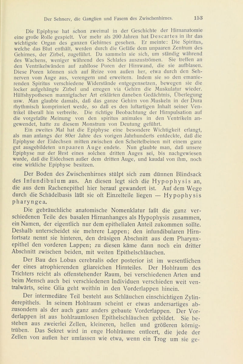 Die Epiphyse hat schon zweimal in der Geschichte der Hirnanatomie eine große Rolle gespielt. Vor mehr als 200 Jahren hat Descartes in ihr das wichtigste Organ des ganzen Gehirnes gesehen. Er meinte: Die Spiritus, welche das Blut enthält, werden durch die Gefäße dem unpaaren Zentrum des Gehirnes, der Zirbel, zugeführt. Da sammeln sie sich, um ständig während des Wachens, weniger während des Schlafes auszuströmen. Sie treffen an den Ventrikelwänden auf zahllose Poren der Hirnwand, die sie aufblasen. Diese Poren können sich auf Reize von außen her, etwa durch den Seh- nerven vom Auge aus, verengern und erweitern. Indem sie so den emanie- renden Spiritus verschiedene Widerstände entgegensetzen, bewegen sie die locker aufgehängte Zirbel und erregen via Gehirn die Muskulatur wieder. Htilfshypothesen mannigfacher Art erklärten daneben Gedächtnis, Überlegung usw. Man glaubte damals, daß das ganze Gehirn von Muskeln in der Dura rhythmisch komprimiert werde, so daß es den luftartigen Inhalt seiner Ven- trikel überall hin verbreite. Die richtige Beobachtung der Hirnpulsation auf die vorgefaßte Meinung von den Spiritus animales in den Ventrikeln an- gewendet, hatte zu diesem Monstrum von Deutung geführt. Ein zweites Mal hat die Epiphyse eine besondere Wichtigkeit erlangt, als man anfangs der 80er Jahre des vorigen Jahrhunderts entdeckte, daß die Epiphyse der Eidechsen mitten zwischen den Scheitelbeinen mit einem ganz gut ausgebildeten unpaaren Auge endete. Nun glaubte man, daß unsere Epiphyse nur der Rest eines solchen dritten Auges sei, bis nachgewiesen wurde, daß die Eidechsen außer dem dritten Auge, und kaudal von ihm, noch eine wirkliche Epiphyse besitzen. Der Boden des Zwischenhirnes stülpt sich zum dünnen Blindsack des Infundibulum aus. An diesen legt sich die Hypophysis an, die aus dem Rachenepithel hier herauf gewandert ist. Auf dem Wege durch die Schädelbasis läßt sie oft Einzelteile liegen — Hypophysis pharyngea. Die gebräuchliche anatomische Nomenklatur faßt die ganz ver- schiedenen Teile des basalen Hirnanhanges als Hypophysis zusammen, ein Namen, der eigentlich nur dem epithelialen Anteil zukommen sollte. Deshalb unterscheidet sie mehrere Lappen; den infundibularen Hirn- fortsatz nennt sie hinteren, den drüsigen Abschnitt aus dem Pharynx- epithel den vorderen Lappen; zu diesen käme dann noch ein dritter Abschnitt zwischen beiden, mit weiten Epithelschläuchen. Der Bau des Lobus cerebralis oder posterior ist im wesentlichen der eines atrophierenden gliareichen Hirnteiles. Der Hohlraum des Trichters reicht als offenstehender Raum, bei verschiedenen Arten und beim Mensch auch bei verschiedenen Individuen verschieden weit ven- tralwärts, seine Glia geht weithin in den Vorderlappen hinein. Der intermediäre Teil besteht aus Schläuchen einschichtigen Zylin- derepithels. In seinem Hohlraum scheint er etwas andersartiges ab- zusondern als der auch ganz anders gebaute Vorderlappen. Der Vor- derlappen ist aus hohlraumlosen Epithelschläuchen gebildet. Sie be- stehen aus zweierlei Zellen, kleineren, hellen und größeren körnig- trüben. Das Sekret wird in enge Hohlräume entleert, die jede der Zellen von außen her umfassen wie etwa, wenn ein Trog um sie ge-