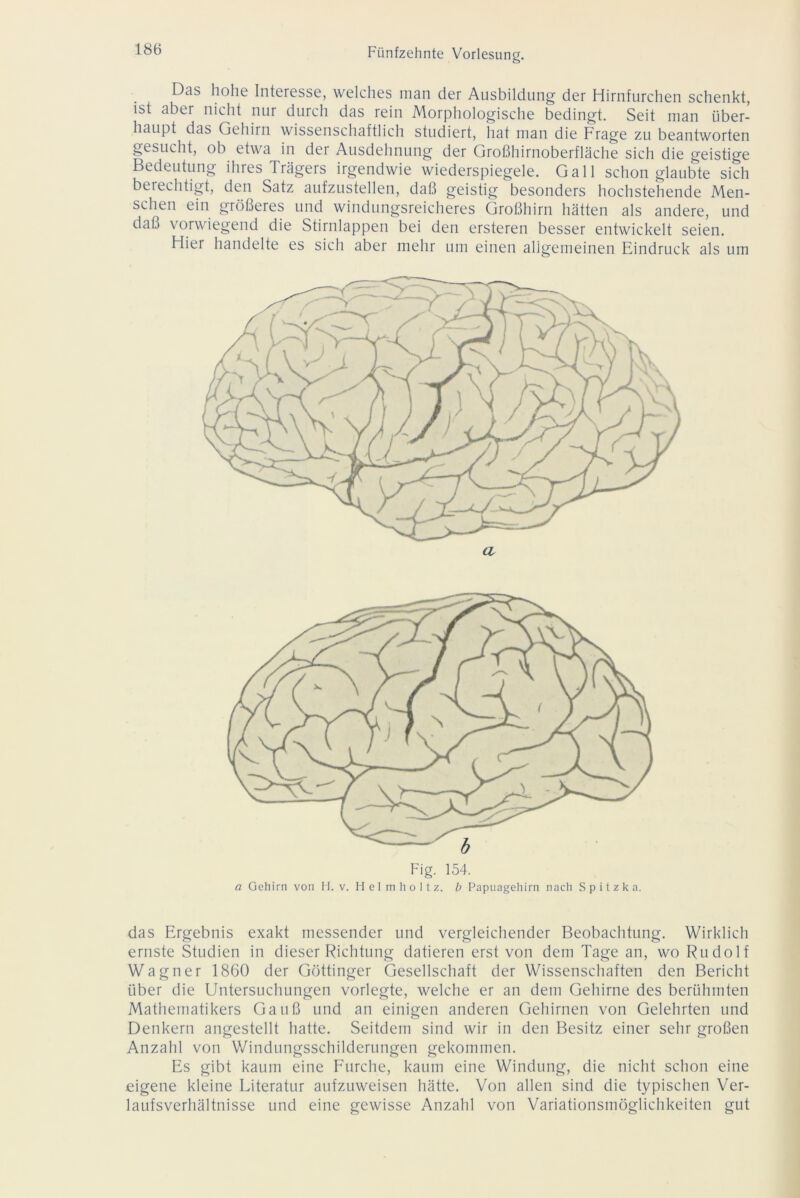 Das hohe Interesse, welches man der Ausbildung der Hirnfurchen schenkt, ist aber nicht nur durch das rein Morphologische bedingt. Seit man über- haupt das Gehirn wissenschaftlich studiert, hat man die Frage zu beantworten gesucht, ob etwa in der Ausdehnung der Großhirnoberfläche sich die geistige Bedeutung ihres Trägers irgendwie wiederspiegele. Gail schon glaubte sich berechtigt, den Satz aufzustellen, daß geistig besonders hochstehende Men- schen ein größeres und windungsreicheres Großhirn hätten als andere, und daß vorwiegend die Stirnlappen bei den ersteren besser entwickelt seien. Hier handelte es sich aber mehr um einen allgemeinen Eindruck als um das Ergebnis exakt messender und vergleichender Beobachtung. Wirklich ernste Studien in dieser Richtung datieren erst von dem Tage an, wo Rudolf Wagner 1860 der Göttinger Gesellschaft der Wissenschaften den Bericht über die Untersuchungen vorlegte, welche er an dem Gehirne des berühmten Mathematikers Gauß und an einigen anderen Gehirnen von Gelehrten und Denkern angestellt hatte. Seitdem sind wir in den Besitz einer sehr großen Anzahl von Windungsschilderungen gekommen. Es gibt kaum eine Furche, kaum eine Windung, die nicht schon eine eigene kleine Literatur aufzuweisen hätte. Von allen sind die typischen Ver- laufsverhältnisse und eine gewisse Anzahl von Variationsmöglichkeiten gut