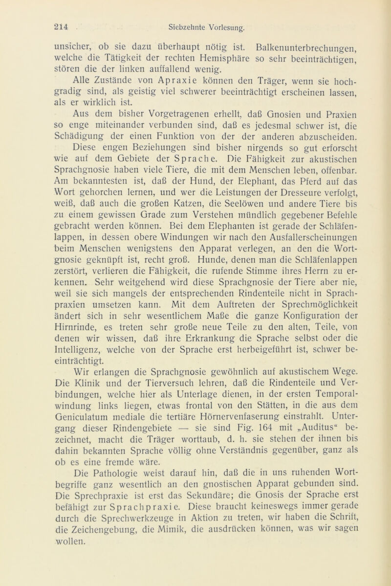 unsicher, ob sie dazu überhaupt nötig ist. Balkenunterbrechungen, welche die Tätigkeit der rechten Hemisphäre so sehr beeinträchtigen, stören die der linken auffallend wenig. Alle Zustände von Apraxie können den Träger, wenn sie hoch- gradig sind, als geistig viel schwerer beeinträchtigt erscheinen lassen, als er wirklich ist. Aus dem bisher Vorgetragenen erhellt, daß Gnosien und Praxien so enge miteinander verbunden sind, daß es jedesmal schwer ist, die Schädigung der einen Funktion von der der anderen abzuscheiden. Diese engen Beziehungen sind bisher nirgends so gut erforscht wie auf dem Gebiete der Sprache. Die Fähigkeit zur akustischen Sprachgnosie haben viele Tiere, die mit dem Menschen leben, offenbar. Am bekanntesten ist, daß der Hund, der Elephant, das Pferd auf das Wort gehorchen lernen, und wer die Leistungen der Dresseure verfolgt, weiß, daß auch die großen Katzen, die Seelöwen und andere Tiere bis zu einem gewissen Grade zum Verstehen mündlich gegebener Befehle gebracht werden können. Bei dem Elephanten ist gerade der Schläfen- lappen, in dessen obere Windungen wir nach den Ausfallerscheinungen beim Menschen wenigstens den Apparat verlegen, an den die Wort- gnosie geknüpft ist, recht groß. Hunde, denen man die Schläfenlappen zerstört, verlieren die Fähigkeit, die rufende Stimme ihres Herrn zu er- kennen. Sehr weitgehend wird diese Sprachgnosie der Tiere aber nie, weil sie sich mangels der entsprechenden Rindenteile nicht in Sprach- praxien umsetzen kann. Mit dem Auftreten der Sprechmöglichkeit ändert sich in sehr wesentlichem Maße die ganze Konfiguration der Hirnrinde, es treten sehr große neue Teile zu den alten, Teile, von denen wir wissen, daß ihre Erkrankung die Sprache selbst oder die Intelligenz, welche von der Sprache erst herbeigeführt ist, schwer be- einträchtigt. Wir erlangen die Sprachgnosie gewöhnlich auf akustischem Wege. Die Klinik und der Tierversuch lehren, daß die Rindenteile und Ver- bindungen, welche hier als Unterlage dienen, in der ersten Temporal- windung links liegen, etwas frontal von den Stätten, in die aus dem Geniculatum mediale die tertiäre Hörnervenfaserung einstrahlt. Unter- gang dieser Rindengebiete — sie sind Fig. 164 mit „Auditus“ be- zeichnet, macht die Träger worttaub, d. h. sie stehen der ihnen bis dahin bekannten Sprache völlig ohne Verständnis gegenüber, ganz als ob es eine fremde wäre. Die Pathologie weist darauf hin, daß die in uns ruhenden Wort- begriffe ganz wesentlich an den gnostischen Apparat gebunden sind. Die Sprechpraxie ist erst das Sekundäre; die Gnosis der Sprache erst befähigt zur Sprach p raxi e. Diese braucht keineswegs immer gerade durch die Sprechwerkzeuge in Aktion zu treten, wir haben die Schrift, die Zeichengebung, die Mimik, die ausdrücken können, was wir sagen wollen.