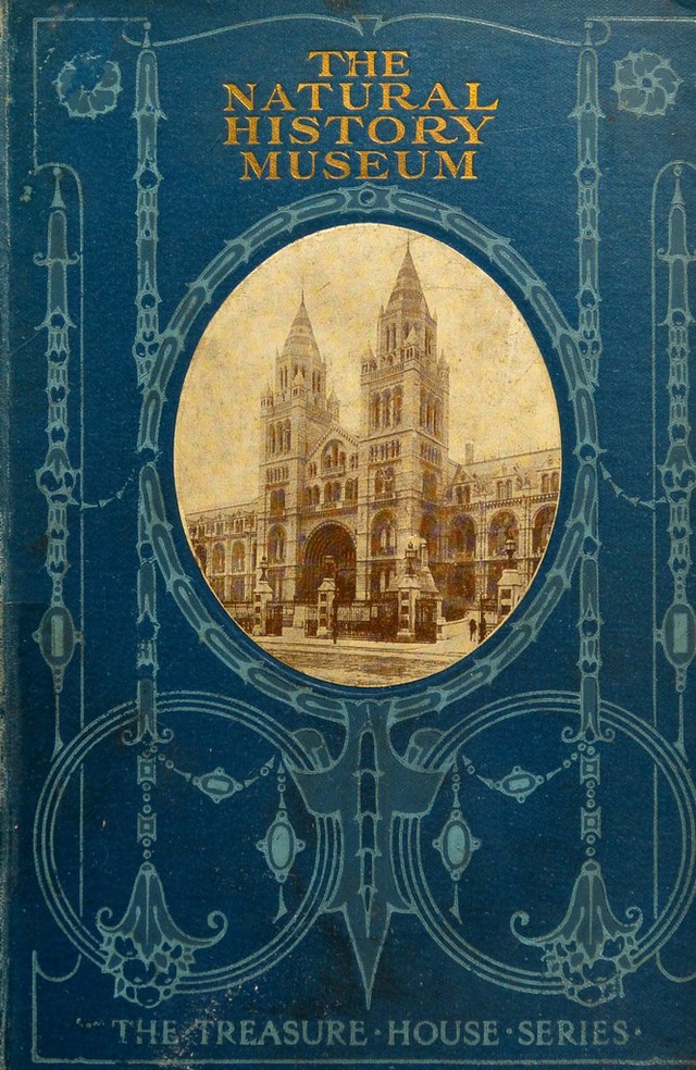 No text description is available for this image