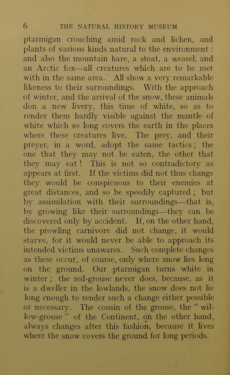 ptarmigan crouching amid rock and lichen, and plants of various kinds natural to the environment : and also the mountain hare, a stoat, a weasel, and an Arctic fox—all creatures which are to be met with in the same area. All show a very remarkable likeness to their surroundings. With the approach of winter, and the arrival of the snow, these animals don a new livery, this time of white, so as to render them hardly visible against the mantle of white which so long covers the earth in the places where these creatures live. The prey, and their preyer, in a word, adopt the same tactics; the one that they may not be eaten, the other that they may eat ! This is not so contradictory as appears at first. If the victims did not thus change they would be conspicuous to their enemies at great distances, and so be speedily captured ; but by assimilation with their surroundings—that is, by growing like their surroundings—they can be discovered only by accident. If, on the other hand, the prowling carnivore did not change, it would starve, for it would never be able to approach its intended victims unawares. Such complete changes as these occur, of course, only where snow lies long on the ground. Our ptarmigan turns white in winter ; the red-grouse never does, because, as it is a dweller in the lowlands, the snow does not lie long enough to render such a change either possible or necessary. The cousin of the grouse, the “ wil- low-grouse ” of the Continent, on the other hand, always changes after this fashion, because it lives where the snow covers the ground for long periods.