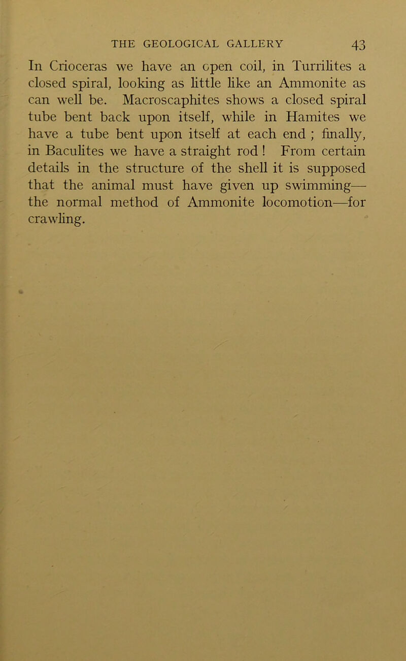In Crioceras we have an open coil, in Turrilites a closed spiral, looking as little like an Ammonite as can well be. Macroscaphites shows a closed spiral tube bent back upon itself, while in Hamites we have a tube bent upon itself at each end ; finally, in Baculites we have a straight rod ! From certain details in the structure of the shell it is supposed that the animal must have given up swimming— the normal method of Ammonite locomotion—for crawling.