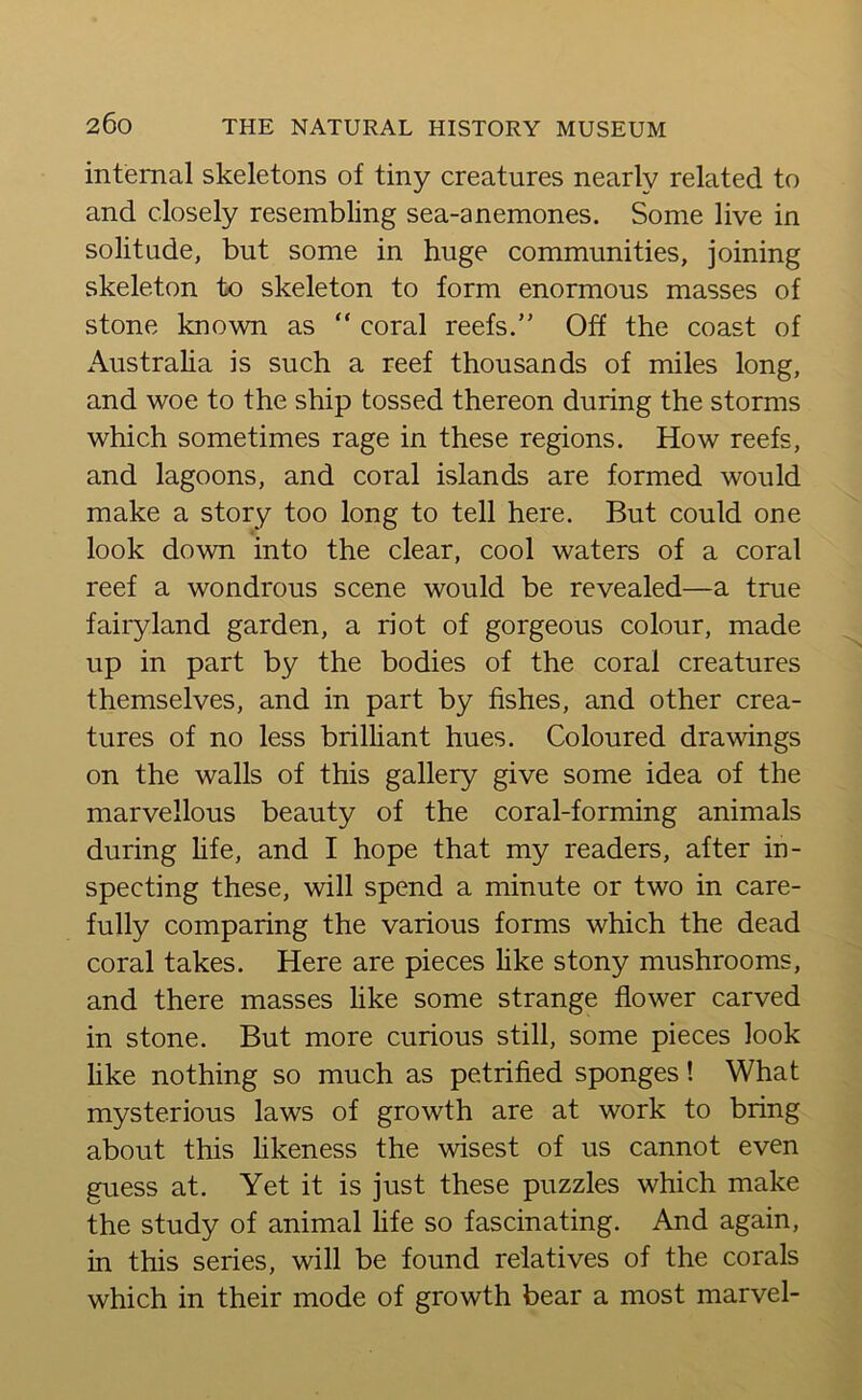 internal skeletons of tiny creatures nearly related to and closely resembling sea-anemones. Some live in solitude, but some in huge communities, joining skeleton to skeleton to form enormous masses of stone known as “ coral reefs.” Off the coast of Australia is such a reef thousands of miles long, and woe to the ship tossed thereon during the storms which sometimes rage in these regions. How reefs, and lagoons, and coral islands are formed would make a story too long to tell here. But could one look down into the clear, cool waters of a coral reef a wondrous scene would be revealed—a true fairyland garden, a riot of gorgeous colour, made up in part by the bodies of the coral creatures themselves, and in part by fishes, and other crea- tures of no less brilliant hues. Coloured drawings on the walls of this gallery give some idea of the marvellous beauty of the coral-forming animals during life, and I hope that my readers, after in- specting these, will spend a minute or two in care- fully comparing the various forms which the dead coral takes. Here are pieces like stony mushrooms, and there masses like some strange flower carved in stone. But more curious still, some pieces look like nothing so much as petrified sponges! What mysterious laws of growth are at work to bring about this likeness the wisest of us cannot even guess at. Yet it is just these puzzles which make the study of animal life so fascinating. And again, in this series, will be found relatives of the corals which in their mode of growth bear a most marvel-