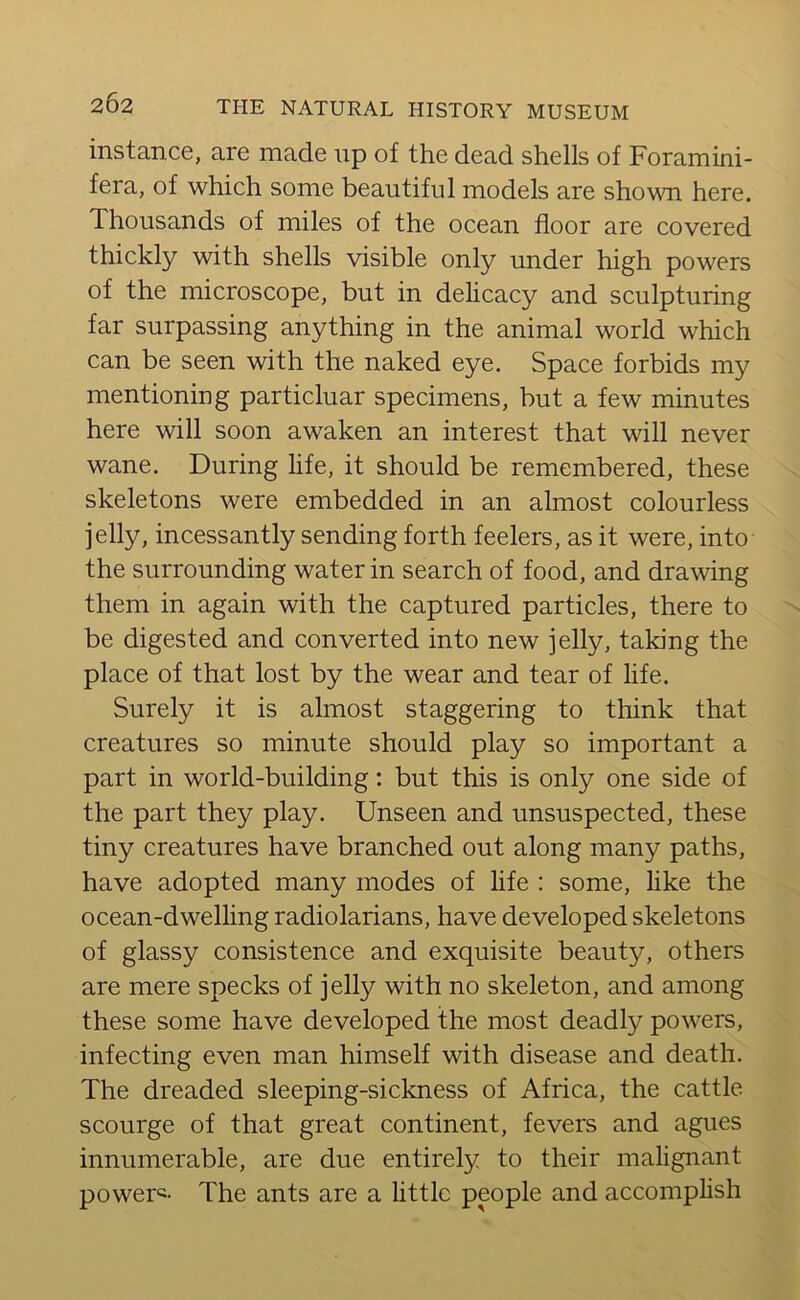instance, are made up of the dead shells of Foramini- fera, of which some beautiful models are shown here. 1 housands of miles of the ocean floor are covered thickly with shells visible only under high powers of the microscope, but in delicacy and sculpturing far surpassing anything in the animal world which can be seen with the naked eye. Space forbids my mentioning particluar specimens, but a few minutes here will soon awaken an interest that will never wane. During life, it should be remembered, these skeletons were embedded in an almost colourless jelly, incessantly sending forth feelers, as it were, into the surrounding water in search of food, and drawing them in again with the captured particles, there to be digested and converted into new jelly, taking the place of that lost by the wear and tear of life. Surely it is almost staggering to think that creatures so minute should play so important a part in world-building: but this is only one side of the part they play. Unseen and unsuspected, these tiny creatures have branched out along many paths, have adopted many modes of life : some, like the ocean-dwelling radiolarians, have developed skeletons of glassy consistence and exquisite beauty, others are mere specks of jelly with no skeleton, and among these some have developed the most deadly powers, infecting even man himself with disease and death. The dreaded sleeping-sickness of Africa, the cattle scourge of that great continent, fevers and agues innumerable, are due entirely to their malignant powers The ants are a little people and accomplish