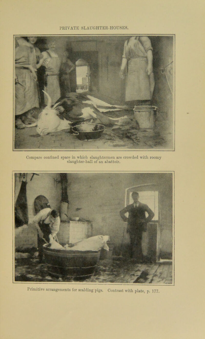 Compare confined space in which slaughtermen are crowded with roomy slaughter-hall of an abattoir. Primitive arrangements for scalding pigs. Contrast with plate, p. 177.