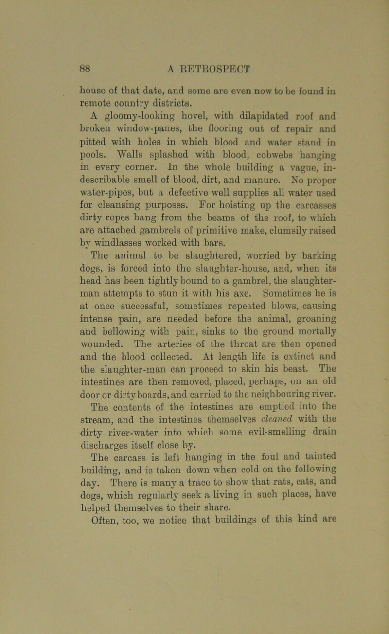 house of that date, and some are even now to be found in remote country districts. A gloomy-looking hovel, with dilapidated roof and broken window-panes, the flooring out of repair and pitted with holes in which blood and water stand in pools. Walls splashed with blood, cobwebs hanging in every corner. In the whole building a vague, in- describable smell of blood, dirt, and manure. No proper water-pipes, but a defective well supplies all water used for cleansing purposes. For hoisting up the carcasses dirty ropes hang from the beams of the roof, to which are attached gambrels of primitive make, clumsily raised by windlasses worked with bars. The animal to be slaughtered, worried by barking dogs, is forced into the slaughter-house, and, when its head has been tightly bound to a gambrel, the slaughter- man attempts to stun it with his axe. Sometimes he is at once successful, sometimes repeated blows, causing intense pain, are needed before the animal, groaning and bellowing with pain, sinks to the ground mortally wounded. The arteries of the throat are then opened and the blood collected. At length life is extinct and the slaughter-man can proceed to skin his beast. The intestines are then removed, placed, perhaps, on an old door or dirty boards, and carried to the neighbouring river. The contents of the intestines are emptied into the stream, and the intestines themselves cleaned with the dirty river-water into which some evil-smelling drain discharges itself close by. The carcass is left hanging in the foul and tainted building, and is taken down when cold on the following day. There is many a trace to show that rats, cats, and dogs, which regularly seek a living in such places, have helped themselves to their share. Often, too, we notice that buildings of this kind are