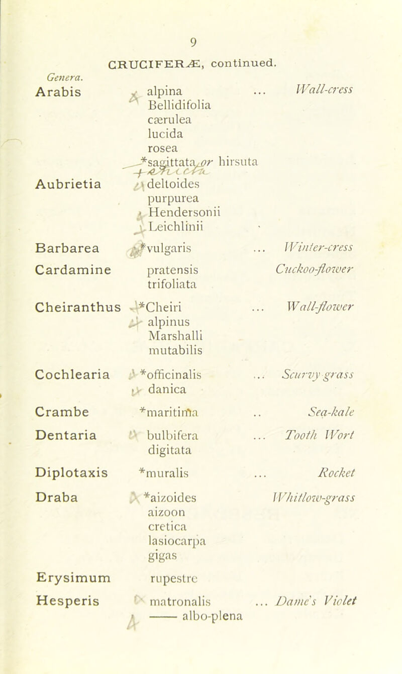 Genera. Arabis 9 CRUCIFERJE, continued. Wall-cress Aubrietia Barbarea Cardamine Cheiranthus Cochlearia Crambe Dentaria Diplotaxis Draba Erysimum Hesperis . alpina Bellidifolia caerulea lucida rosea ^saaittata/ijir hirsuta > deltoides purpurea j, Hendersonii .Leichlinii v^vulgaris pratensis trifoliata *Cheiri ... alpinus Marshall! mutabilis ^officinalis ■ danica *maritirfta bulbifera digitata *muralis *aizoides aizoon cretica lasiocarpa gigas rupestre matronalis ' albo-plena Winter-cress Cuckoo-flower Wallflower Scurvy grass Sea-kale Tooth Wort Rocket Whitlow-grass ... Dame's Violet