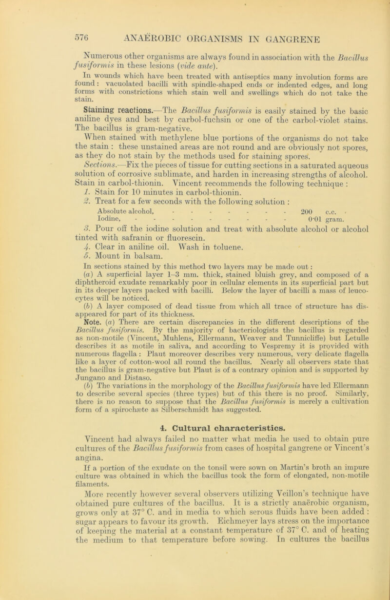 Numerous other organisms are always found in association with the Bacillus fusiformis in these lesions (vide ante). In wounds which have been treated with antiseptics many involution forms are found : vacuolated bacilli with spindle-shaped ends or indented edges, and long forms with constrictions which stain well and swellings which do not take the stain. Staining reactions.—The Bacillus fusiformis is easily stained by the basic aniline dyes and best by carbol-fuchsin or one of the carbol-violet stains. The bacillus is gram-negative. When stained with methylene blue portions of the organisms do not take the stain : these unstained areas are not round and are obviously not spores, as they do not stain by the methods used for staining spores. Sections.—Fix the pieces of tissue for cutting sections in a saturated aqueous solution of corrosive sublimate, and harden in increasing strengths of alcohol. Stain in carbol-thionin. Vincent recommends the following technique : 1. Stain for 10 minutes in carbol-thionin. 2. Treat for a few seconds with the following solution : Absolute alcohol, ------- 200 c.c. Iodine, --------- 0-01 gram. 3. Pour off the iodine solution and treat with absolute alcohol or alcohol tinted with safranin or fluorescin. 4. Clear in aniline oil. Wash in toluene. 5. Mount in balsam. In sections stained by this method two layers may be made out: («) A superficial layer 1-3 mm. thick, stained bluish grey, and composed of a diphtheroid exudate remarkably poor in cellular elements in its superficial part but in its deeper layers packed with bacilli. Below the layer of bacilli a mass of leuco- cytes will be noticed. (b) A layer composed of dead tissue from which all trace of structure lias dis- appeared for part of its thickness. Note, (a) There are certain discrepancies in the different descriptions of the Bacillus fusiformis. By the majority of bacteriologists the bacillus is regarded as non-motile (Vincent, Muhlens, Ellermann, Weaver and Tunnicliffe) but Letulle describes it as motile in saliva, and according to Vespremy it is provided with numerous flagella : Plaut moreover describes very numerous, very delicate flagella like a layer of cotton-wool all round the bacillus. Nearly all observers state that the bacillus is gram-negative but Plaut is of a contrary opinion and is supported by Jungano and Bistaso. (b) The variat ions in the morphology of the Bacillus fusiformis have led Ellermann to describe several species (three types) but of this there is no proof. Similarly, there is no reason to suppose that the Bacillus fusiformis is merely a cultivation form of a spirochiete as Silberschmidt has suggested. 4. Cultural characteristics. Vincent bad always failed no matter what media lie used to obtain pure cultures of the Bacillus fusiformis from cases of hospital gangrene or Vincent’s angina. If a portion of the exudate on the tonsil were sown on Martin’s broth an impure culture was obtained in which the bacillus took the form of elongated, non-motile filaments. More recently however several observers utilizing Veillon’s technique have obtained pure cultures of the bacillus. It is a strictly anaerobic organism, grows only at 37° C. and in media to which serous fluids have been added : sugar appears to favour its growth. Eichmeyer lays stress on the importance of keeping the material at a constant temperature of 37° C. and of heating the medium to that temperature before sowing. In cultures the bacillus