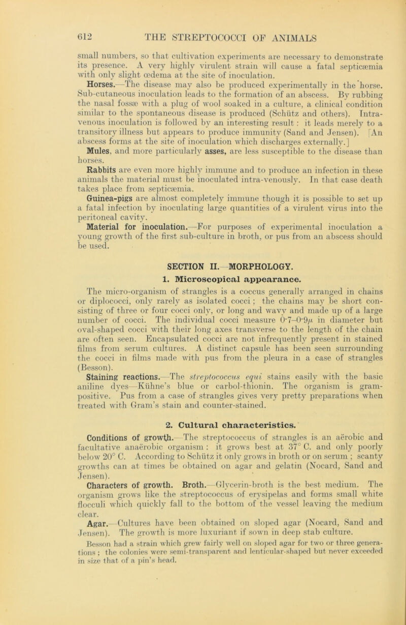 small numbers, so that cultivation experiments are necessary to demonstrate its presence. A very highly virulent strain will cause a fatal septicaemia with only slight ceclema at the site of inoculation. Horses.—The disease may also be produced experimentally in the horse. Sub-cutaneous inoculation leads to the formation of an abscess. By rubbing the nasal fossae with a plug of wool soaked in a culture, a clinical condition similar to the spontaneous disease is produced (Schiitz and others). Intra- venous inoculation is followed by an interesting result: it leads merely to a transitory illness but appears to produce immunity (Sand and Jensen). [An abscess forms at the site of inoculation which discharges externally.] Mules, and more particularly asses, are less susceptible to the disease than horses. Rabbits are even more highly immune and to produce an infection in these animals the material must be inoculated intra-venously. In that case death takes place from septicaemia. Guinea-pigs are almost completely immune though it is possible to set up a fatal infection by inoculating large quantities of a virulent virus into the peritoneal cavity. Material for inoculation.—For purposes of experimental inoculation a young growth of the first sub-culture in broth, or pus from an abscess should be used. SECTION II.- MORPHOLOGY. 1. Microscopical appearance. The micro-organism of strangles is a coccus generally arranged in chains or diplococci, only rarely as isolated cocci; the chains may be short con- sisting of three or four cocci only, or long and wavy and made up of a large number of cocci. The individual cocci measure OT-O^/x in diameter but oval-shaped cocci with their long axes transverse to the length of the chain are often seen. Encajmilated cocci are not infrequently present in stained films from serum cultures. A distinct capsule has been seen surrounding the cocci in films made with pus from the pleura in a case of strangles (Besson). Staining reactions.—The streptococcus equi stains easily with the basic aniline dyes—Kiihne’s blue or carbol-thionin. The organism is gram- positive. Pus from a case of strangles gives very pretty preparations when treated with Gram’s stain and counter-stained. 2. Cultural characteristics. Conditions of growth. The streptococcus of strangles is an aerobic and facultative anaerobic organism : it grows best at 37° C. and only poorly below 20° C. According to Schiitz it only grows in broth or on serum ; scanty growths can at times be obtained on agar and gelatin (Nocard, Sand and Jensen). Characters of growth. Broth.—Glycerin-broth is the best medium. The organism grows like the streptococcus of erysipelas and forms small white flocculi which quickly fall to the bottom of the vessel leaving the medium clear. Agar.—Cultures have been obtained on sloped agar (Nocard, Sand and Jensen). The growth is more luxuriant if sown in deep stab culture. Besson had a strain which grew fairly well on sloped agar for two or three genera- tions ; the colonies were semi-transparent and lenticular-shaped but never exceeded in size that of a pin’s head.
